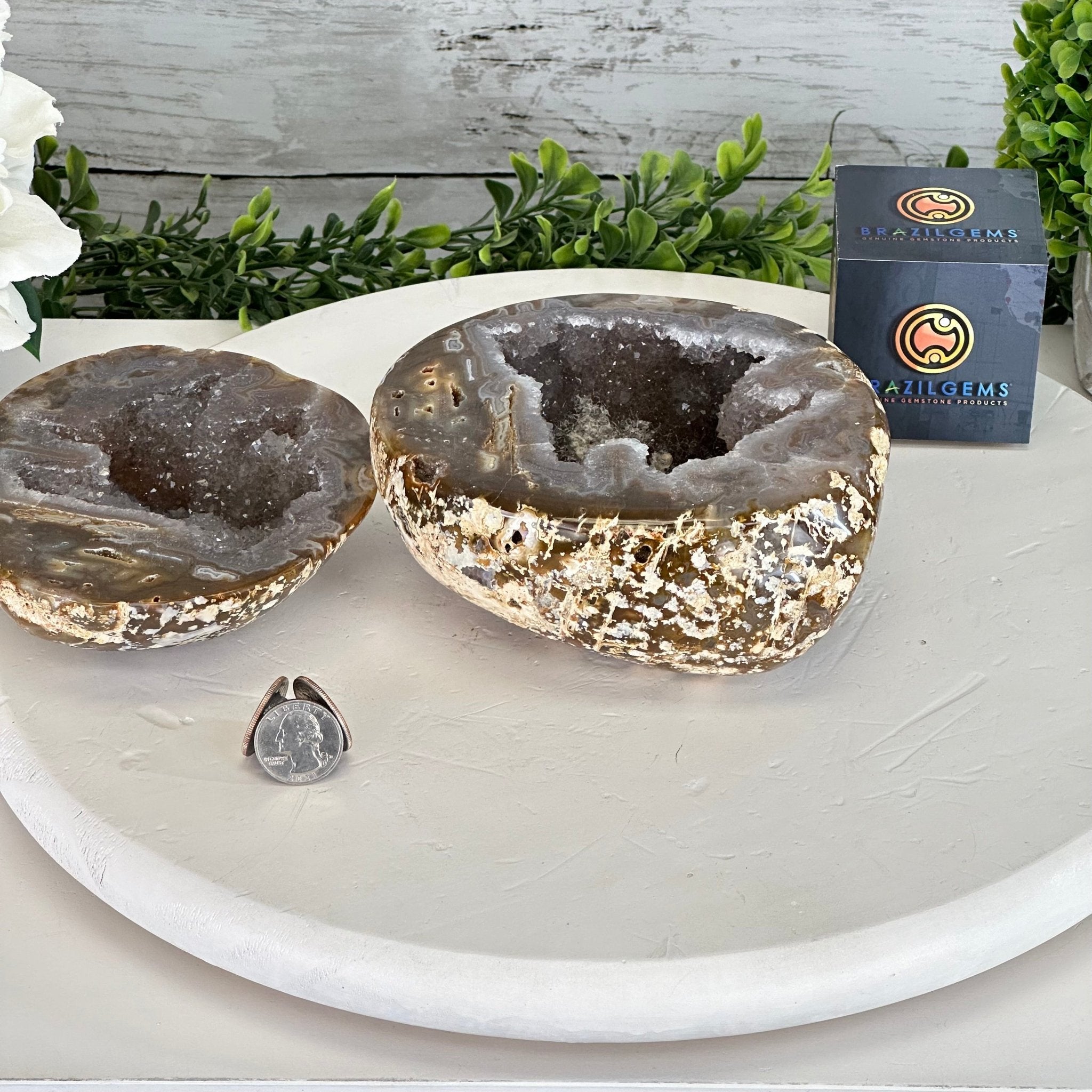Quality Agate Geode "Jewelry Box", 4.9 lbs & 4.3" Tall #5251-0010 - Brazil GemsBrazil GemsQuality Agate Geode "Jewelry Box", 4.9 lbs & 4.3" Tall #5251-0010Agate Jewelry Boxes5251-0010