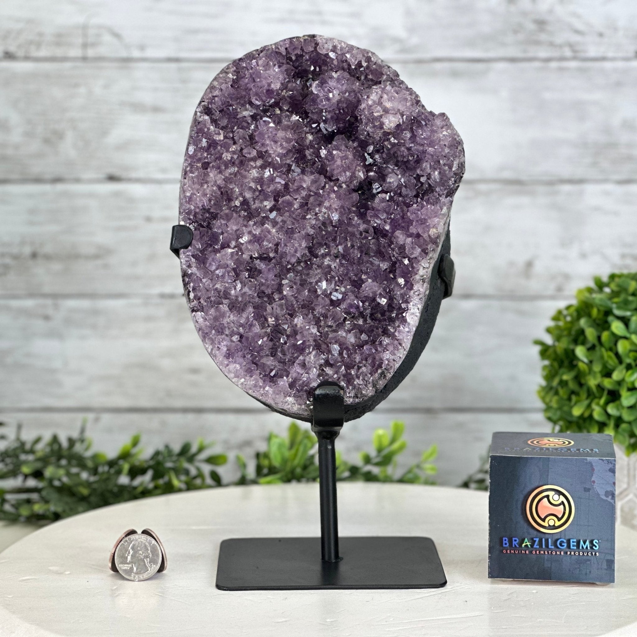 Quality Amethyst Cluster on a Metal Base, 10.1 lbs & 11" Tall #5491 - 0045 - Brazil GemsBrazil GemsQuality Amethyst Cluster on a Metal Base, 10.1 lbs & 11" Tall #5491 - 0045Clusters on Fixed Bases5491 - 0045