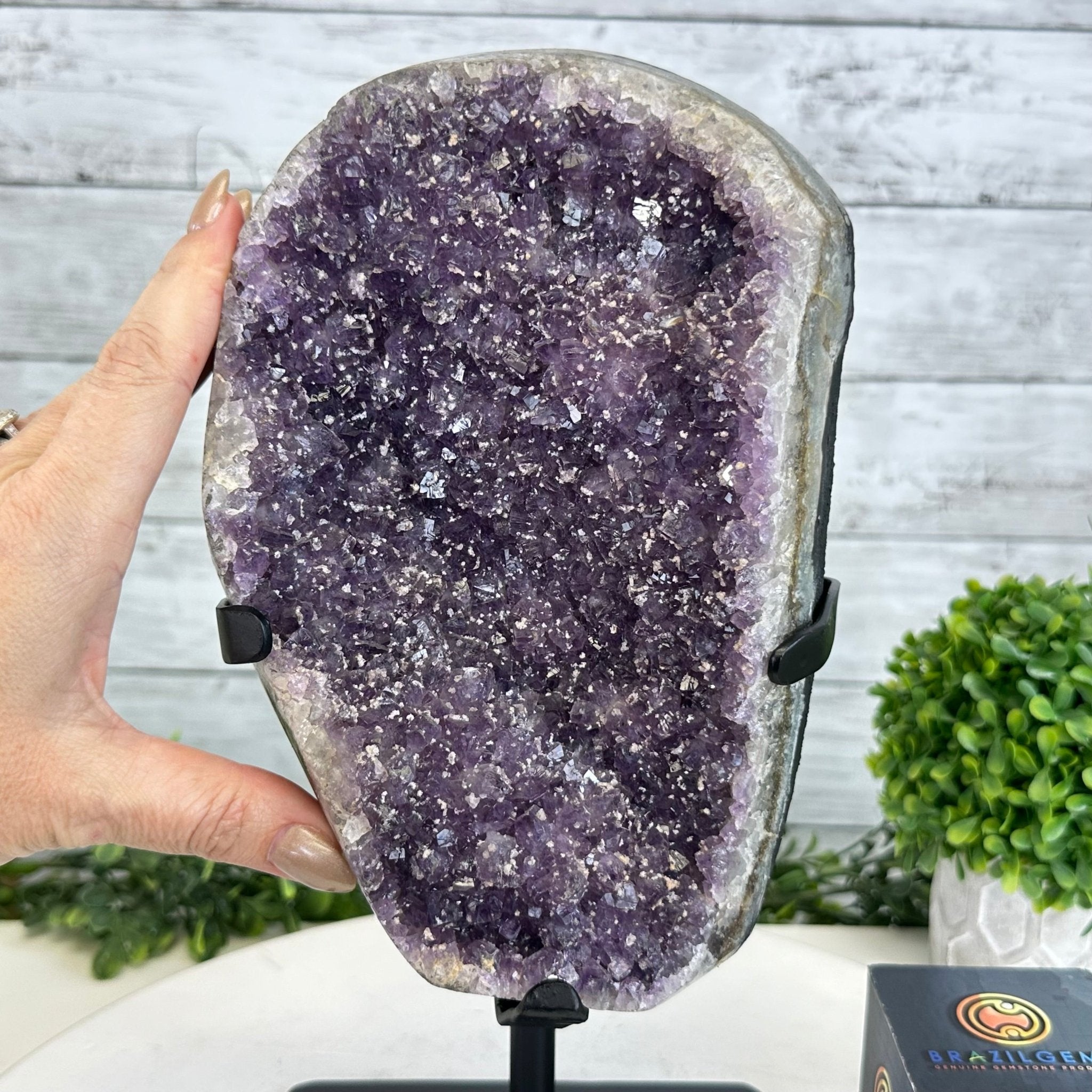 Quality Amethyst Cluster on a Metal Base, 10.9 lbs & 12.25" Tall #5491 - 0047 - Brazil GemsBrazil GemsQuality Amethyst Cluster on a Metal Base, 10.9 lbs & 12.25" Tall #5491 - 0047Clusters on Fixed Bases5491 - 0047