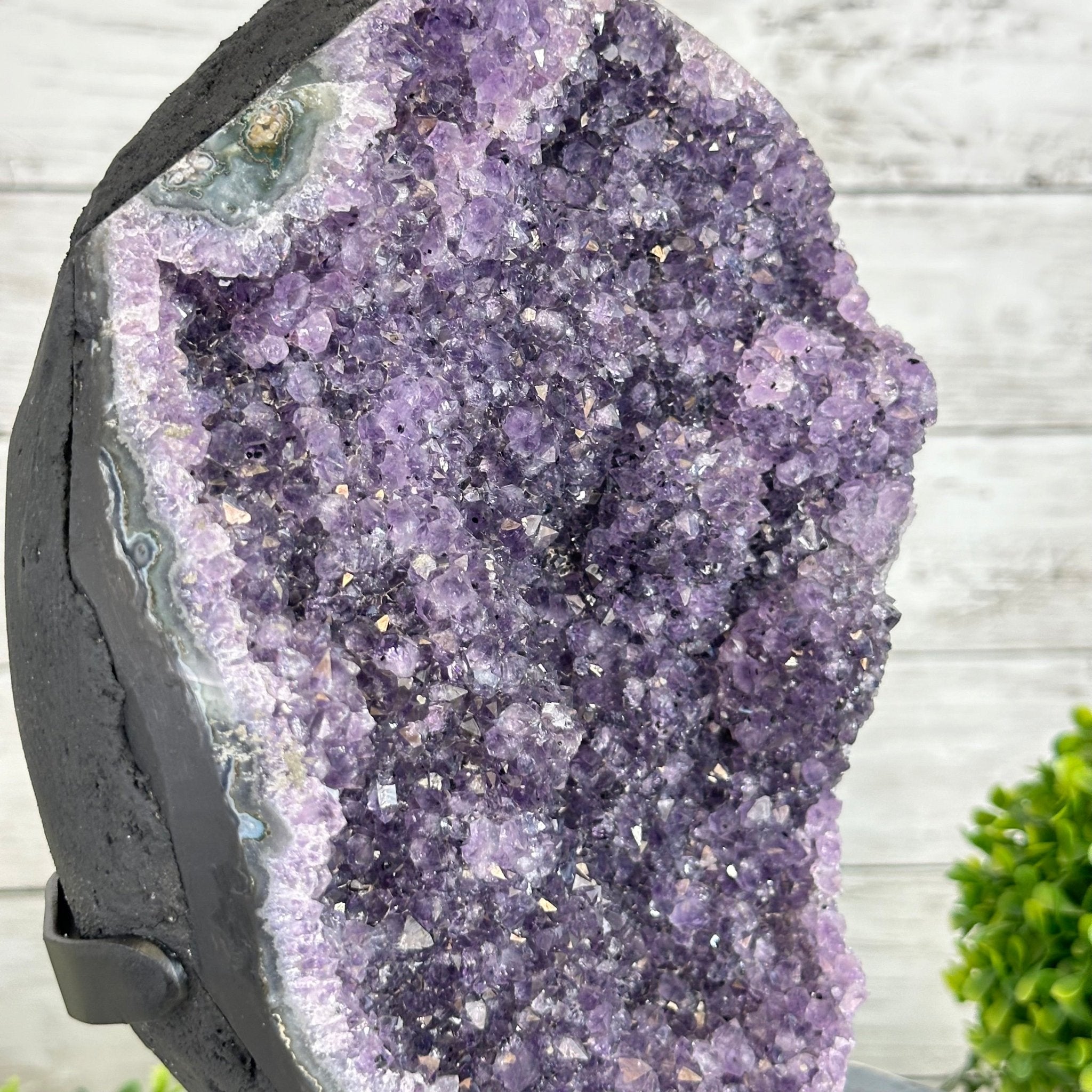 Quality Amethyst Cluster on a Metal Base, 12 lbs & 12.1" Tall #5491 - 0057 - Brazil GemsBrazil GemsQuality Amethyst Cluster on a Metal Base, 12 lbs & 12.1" Tall #5491 - 0057Clusters on Fixed Bases5491 - 0057