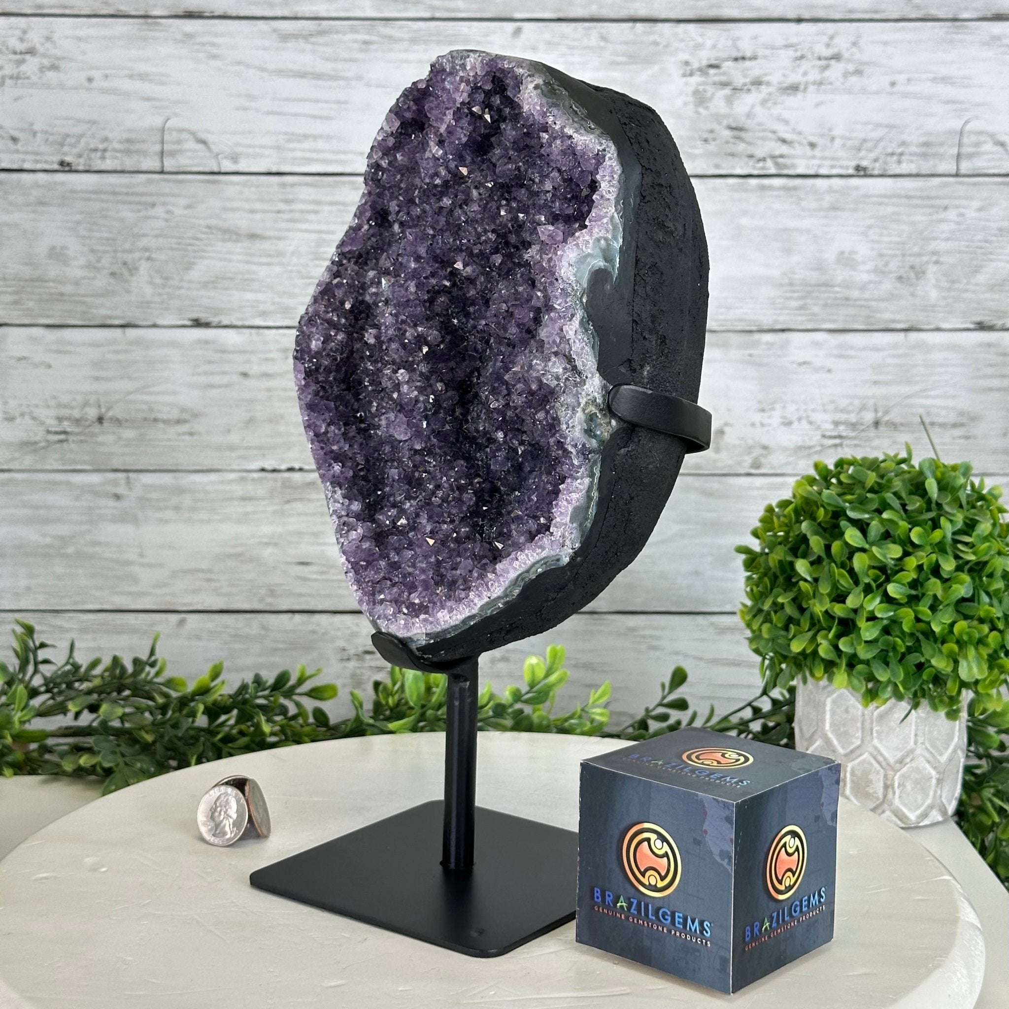Quality Amethyst Cluster on a Metal Base, 12 lbs & 12.1" Tall #5491 - 0057 - Brazil GemsBrazil GemsQuality Amethyst Cluster on a Metal Base, 12 lbs & 12.1" Tall #5491 - 0057Clusters on Fixed Bases5491 - 0057