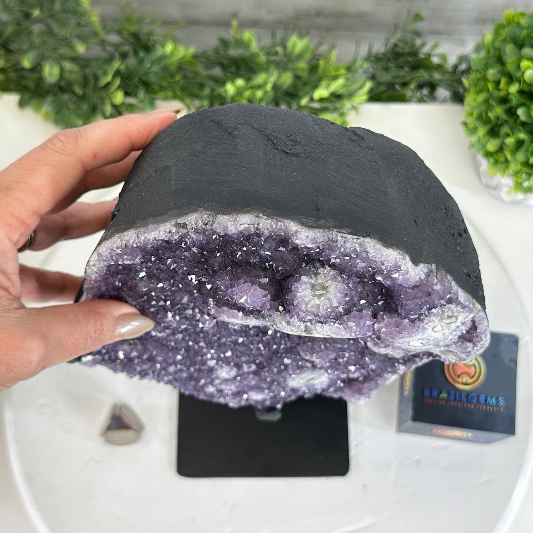 Quality Amethyst Cluster on a Metal Base, 12.7 lbs & 12.75" Tall #5491 - 0044 - Brazil GemsBrazil GemsQuality Amethyst Cluster on a Metal Base, 12.7 lbs & 12.75" Tall #5491 - 0044Clusters on Fixed Bases5491 - 0044