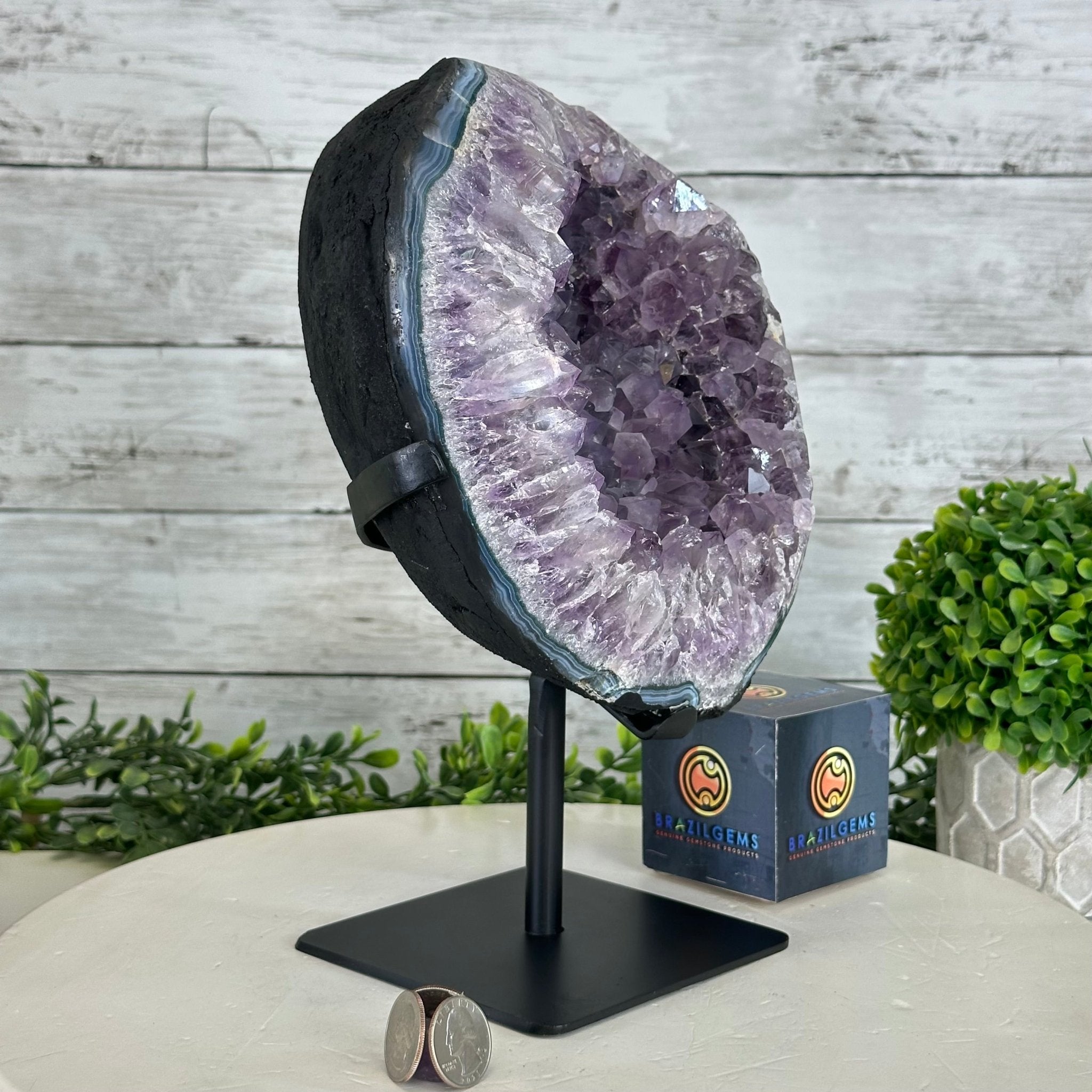 Quality Amethyst Cluster on a Metal Base, 13.3 lbs & 11" Tall #5491 - 0048 - Brazil GemsBrazil GemsQuality Amethyst Cluster on a Metal Base, 13.3 lbs & 11" Tall #5491 - 0048Clusters on Fixed Bases5491 - 0048