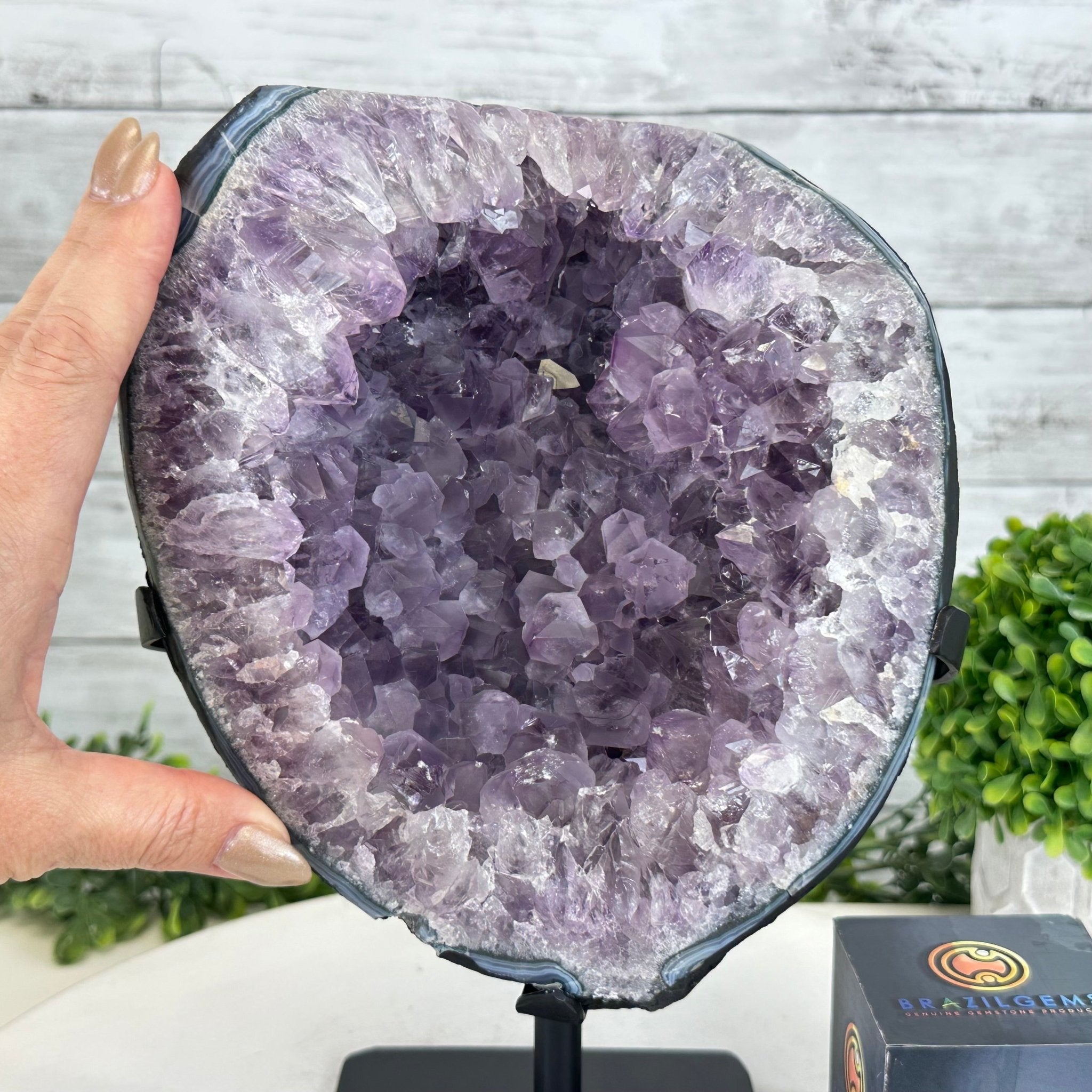 Quality Amethyst Cluster on a Metal Base, 13.3 lbs & 11" Tall #5491 - 0048 - Brazil GemsBrazil GemsQuality Amethyst Cluster on a Metal Base, 13.3 lbs & 11" Tall #5491 - 0048Clusters on Fixed Bases5491 - 0048