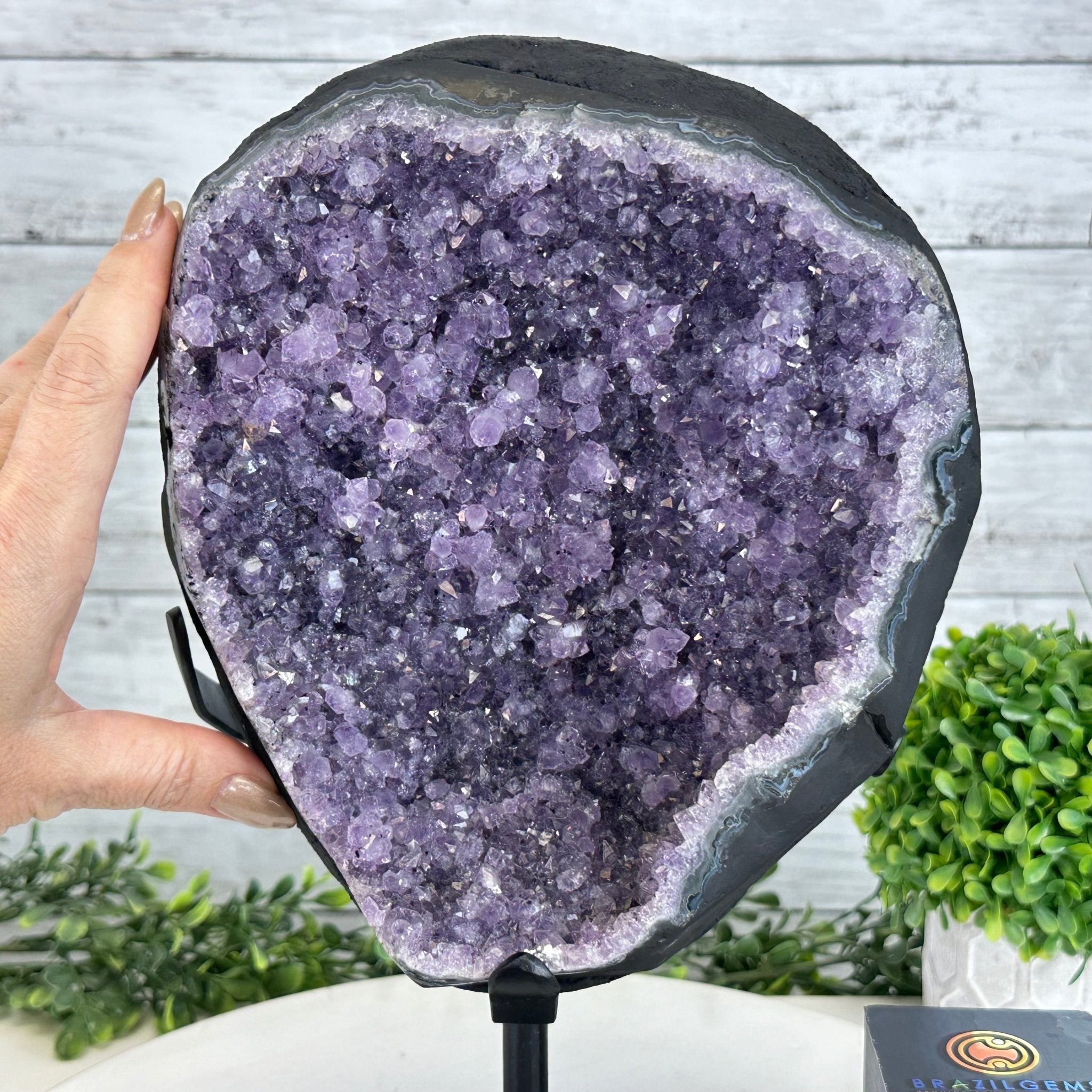 Quality Amethyst Cluster on a Metal Base, 16.9 lbs & 12.5" Tall #5491 - 0058 - Brazil GemsBrazil GemsQuality Amethyst Cluster on a Metal Base, 16.9 lbs & 12.5" Tall #5491 - 0058Clusters on Fixed Bases5491 - 0058