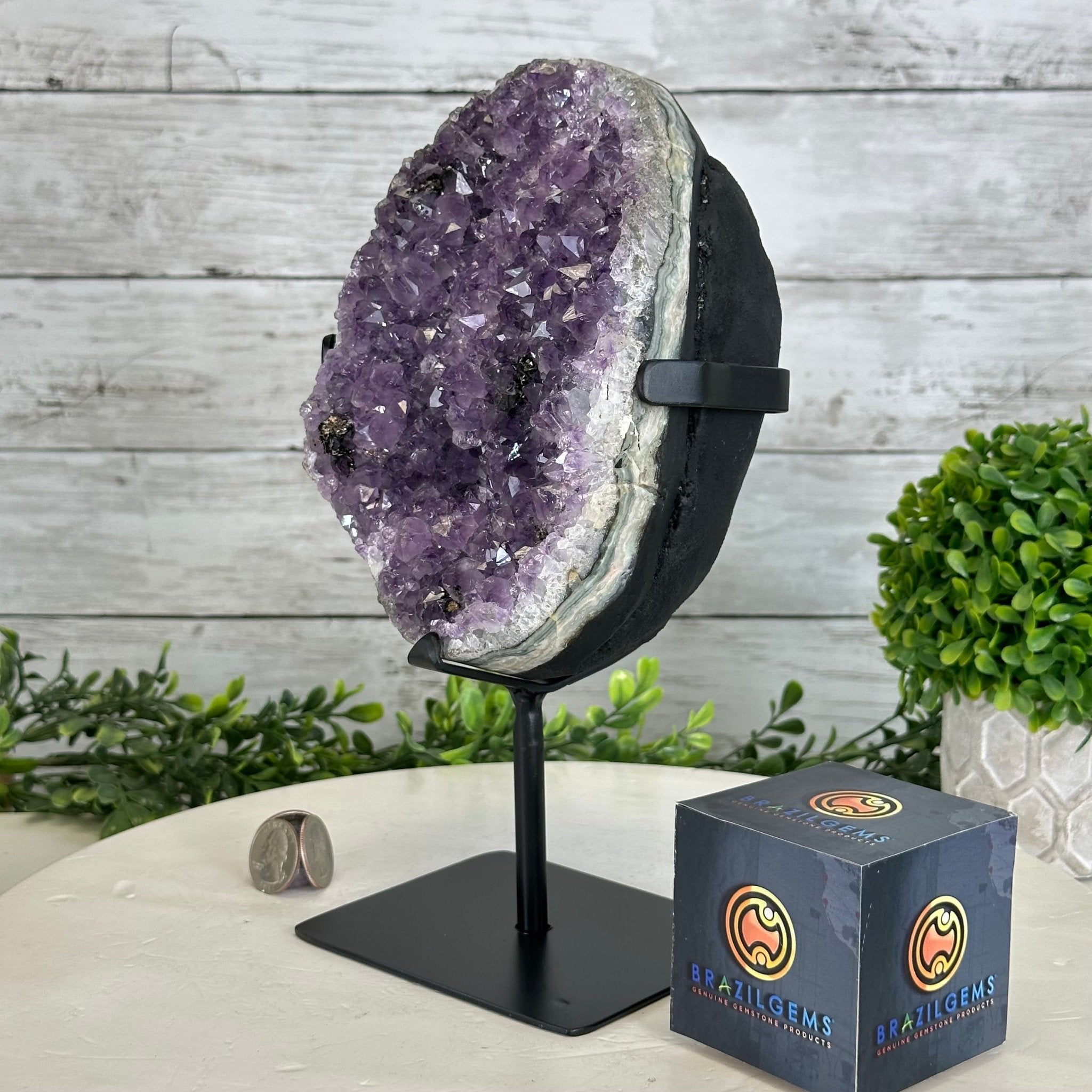 Quality Amethyst Cluster on a Metal Base, 8.5 lbs & 10.5" Tall #5491 - 0050 - Brazil GemsBrazil GemsQuality Amethyst Cluster on a Metal Base, 8.5 lbs & 10.5" Tall #5491 - 0050Clusters on Fixed Bases5491 - 0050