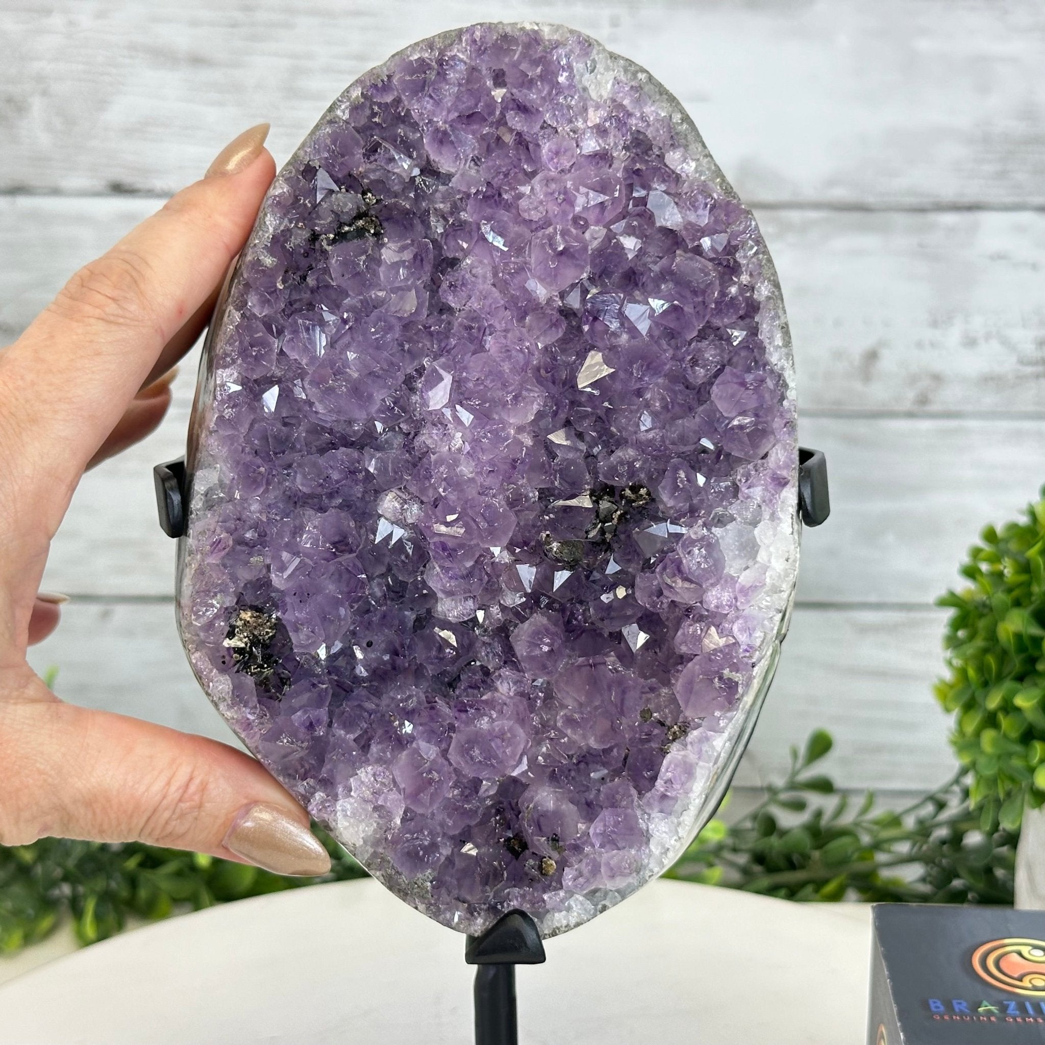 Quality Amethyst Cluster on a Metal Base, 8.5 lbs & 10.5" Tall #5491 - 0050 - Brazil GemsBrazil GemsQuality Amethyst Cluster on a Metal Base, 8.5 lbs & 10.5" Tall #5491 - 0050Clusters on Fixed Bases5491 - 0050