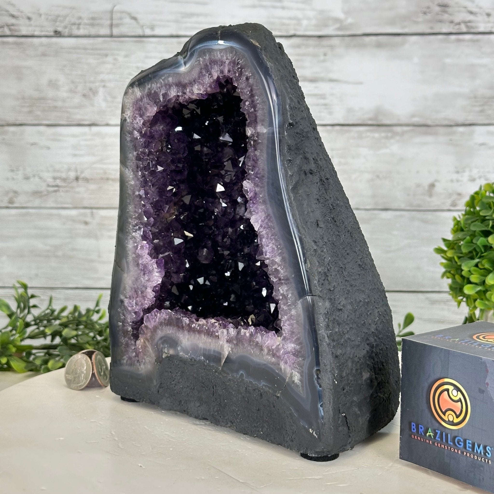 Quality Brazilian Amethyst Cathedral, 11.8 lbs & 9.1" Tall, #5601 - 1356 - Brazil GemsBrazil GemsQuality Brazilian Amethyst Cathedral, 11.8 lbs & 9.1" Tall, #5601 - 1356Cathedrals5601 - 1356