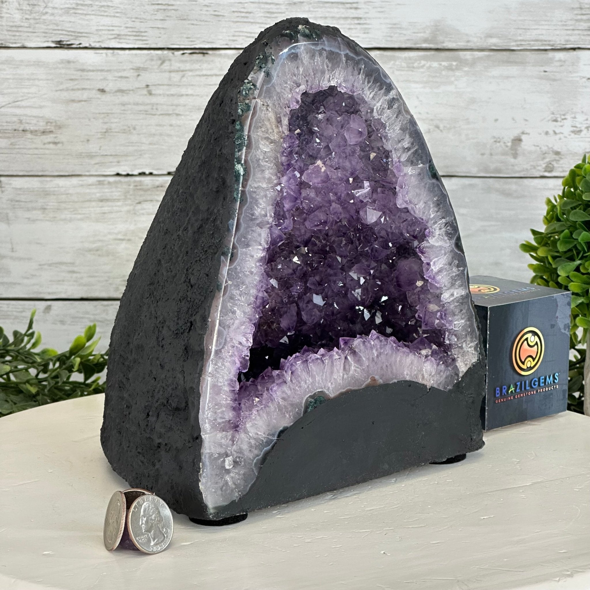 Quality Brazilian Amethyst Cathedral, 11.9 lbs & 8.4" Tall, #5601 - 1357 - Brazil GemsBrazil GemsQuality Brazilian Amethyst Cathedral, 11.9 lbs & 8.4" Tall, #5601 - 1357Cathedrals5601 - 1357