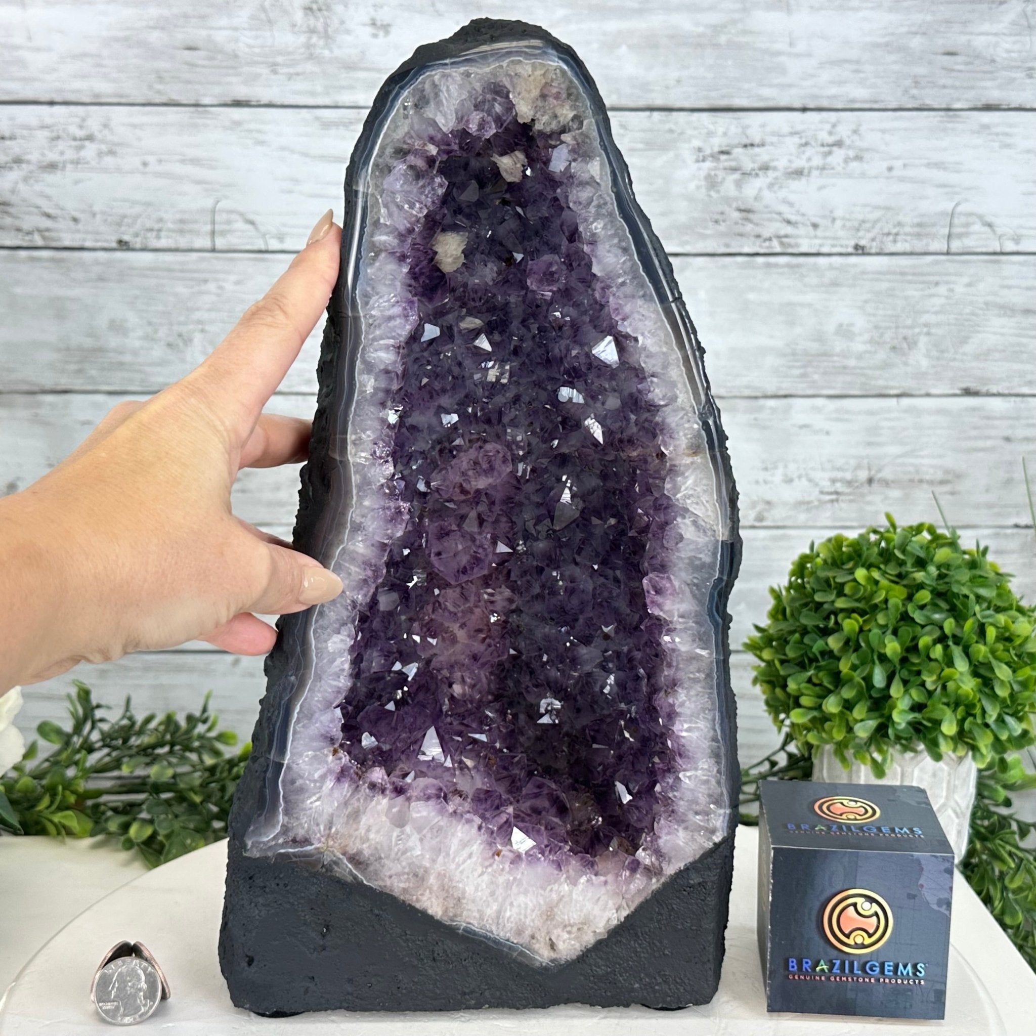 Quality Brazilian Amethyst Cathedral, 17.2 lbs & 13.8" Tall, #5601 - 1372 - Brazil GemsBrazil GemsQuality Brazilian Amethyst Cathedral, 17.2 lbs & 13.8" Tall, #5601 - 1372Cathedrals5601 - 1372