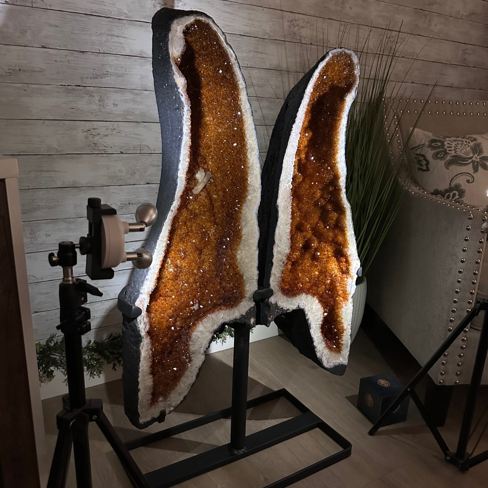 Quality Citrine Butterfly Wings, Metal Stand, 152 lbs & 40.5" Tall #5498 - 0008 - Brazil GemsBrazil GemsQuality Citrine Butterfly Wings, Metal Stand, 152 lbs & 40.5" Tall #5498 - 0008Citrine Butterfly Wings5498 - 0008