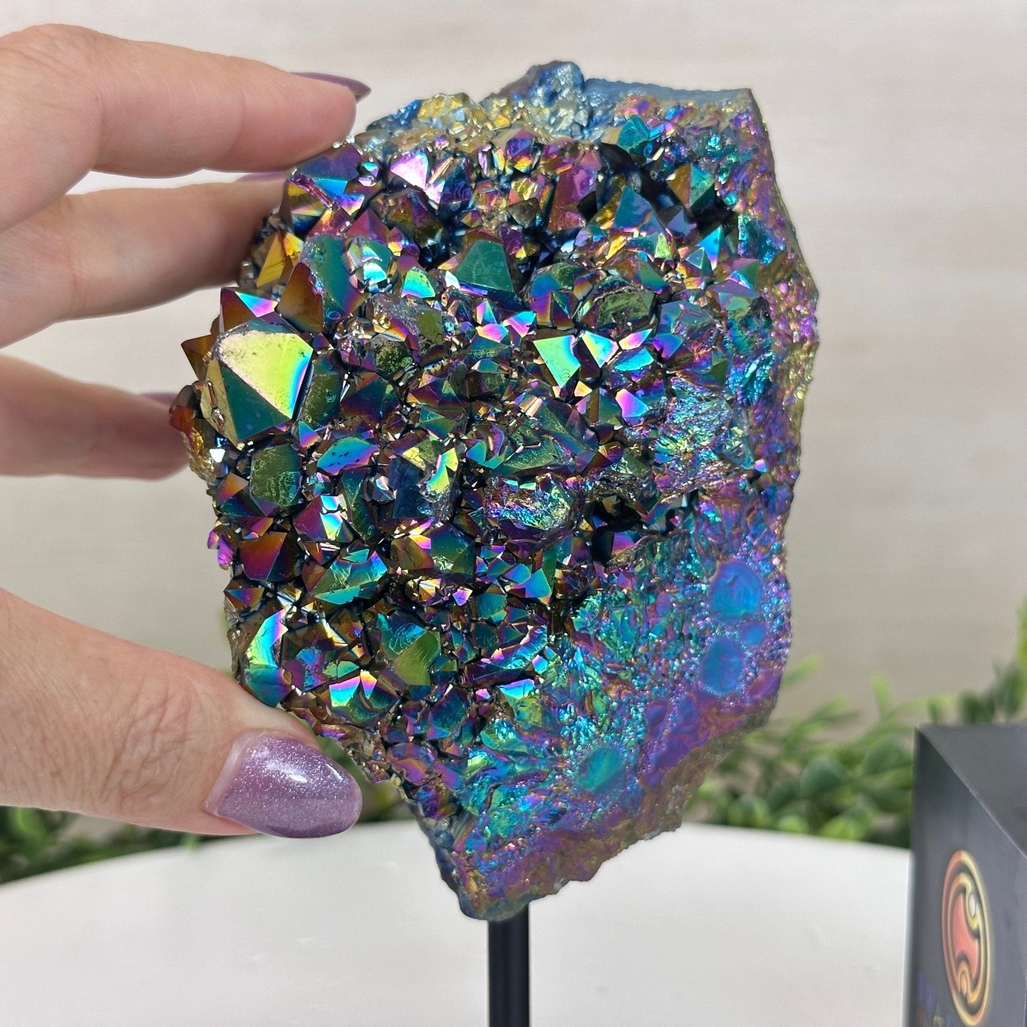 Rainbow Aura Amethyst Cluster on a Metal Stand, 2 lbs & 7.1" Tall #5490AMRA - 036 - Brazil GemsBrazil GemsRainbow Aura Amethyst Cluster on a Metal Stand, 2 lbs & 7.1" Tall #5490AMRA - 036Clusters on Fixed Bases5490AMRA - 036