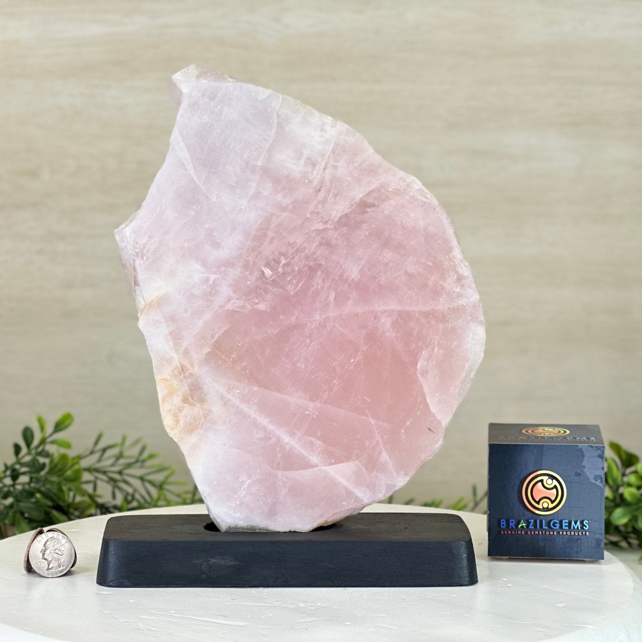 Rose Quartz Slice on Wood Base Model #6100RQ-039 – Brazil Gems