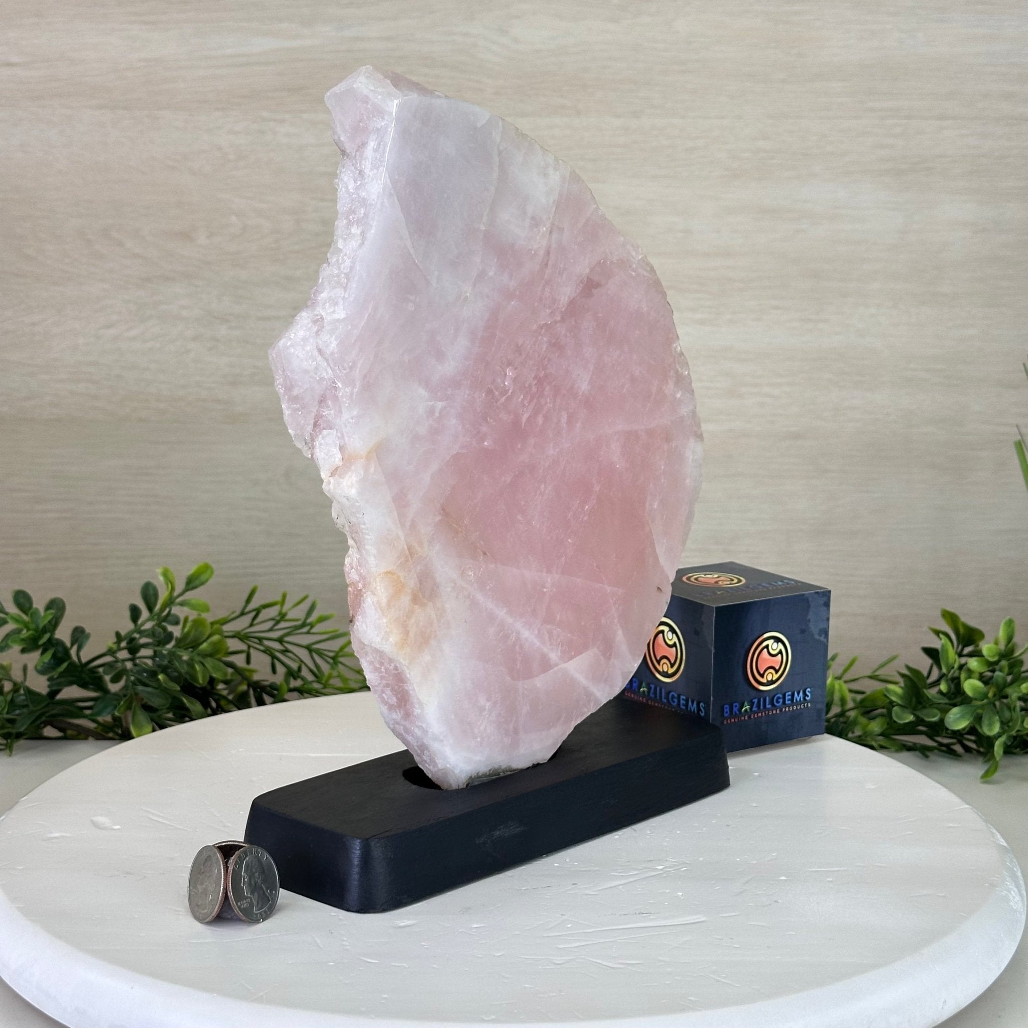 Rose Quartz Polished Slice on a Wood Base, 11" Tall #6100RQ - 039 - Brazil GemsBrazil GemsRose Quartz Polished Slice on a Wood Base, 11" Tall #6100RQ - 039Slices on Wood Bases6100RQ - 039