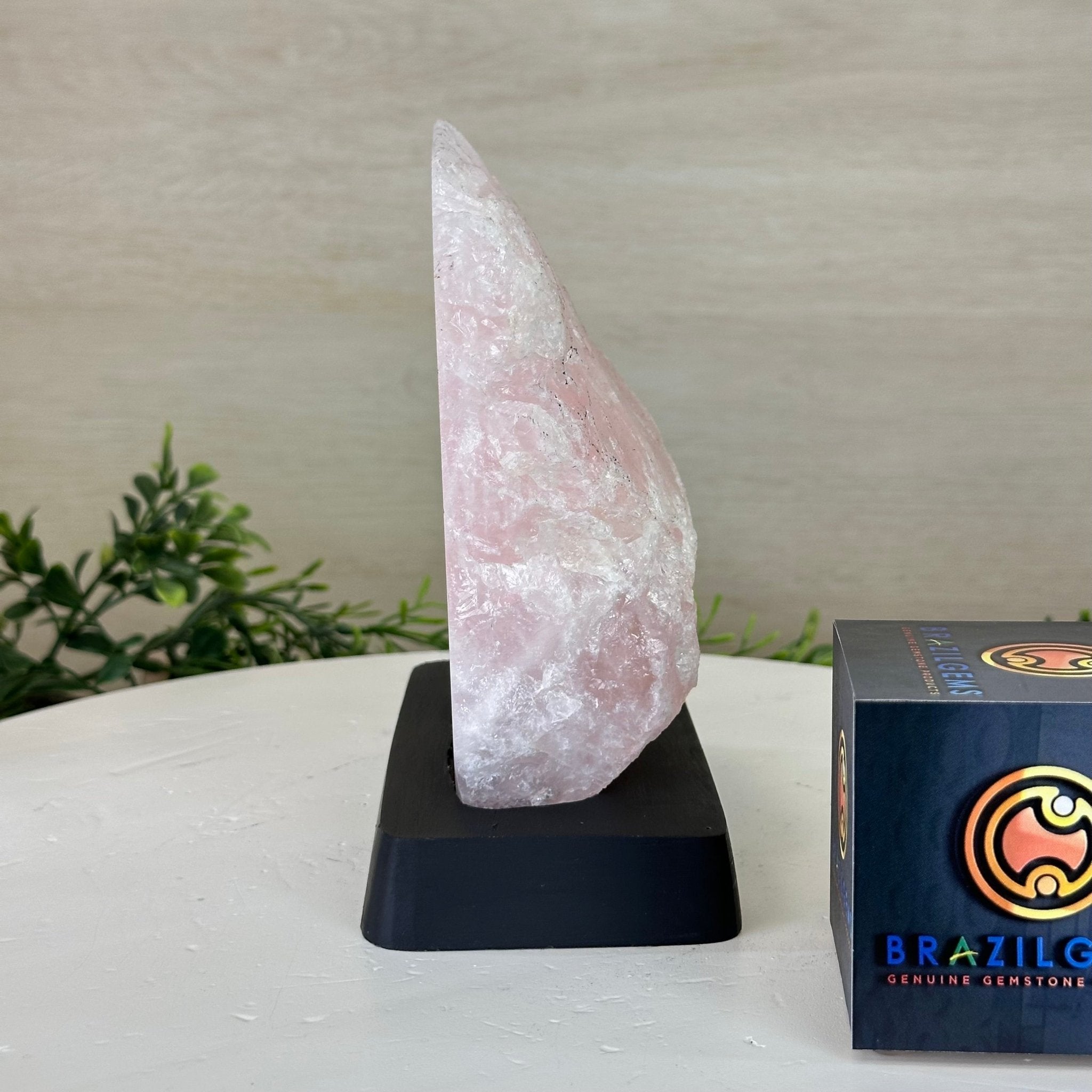 Rose Quartz Polished Slice on a Wood Base 6.5" Tall #6100RQ - 027 - Brazil GemsBrazil GemsRose Quartz Polished Slice on a Wood Base 6.5" Tall #6100RQ - 027Slices on Wood Bases6100RQ - 027