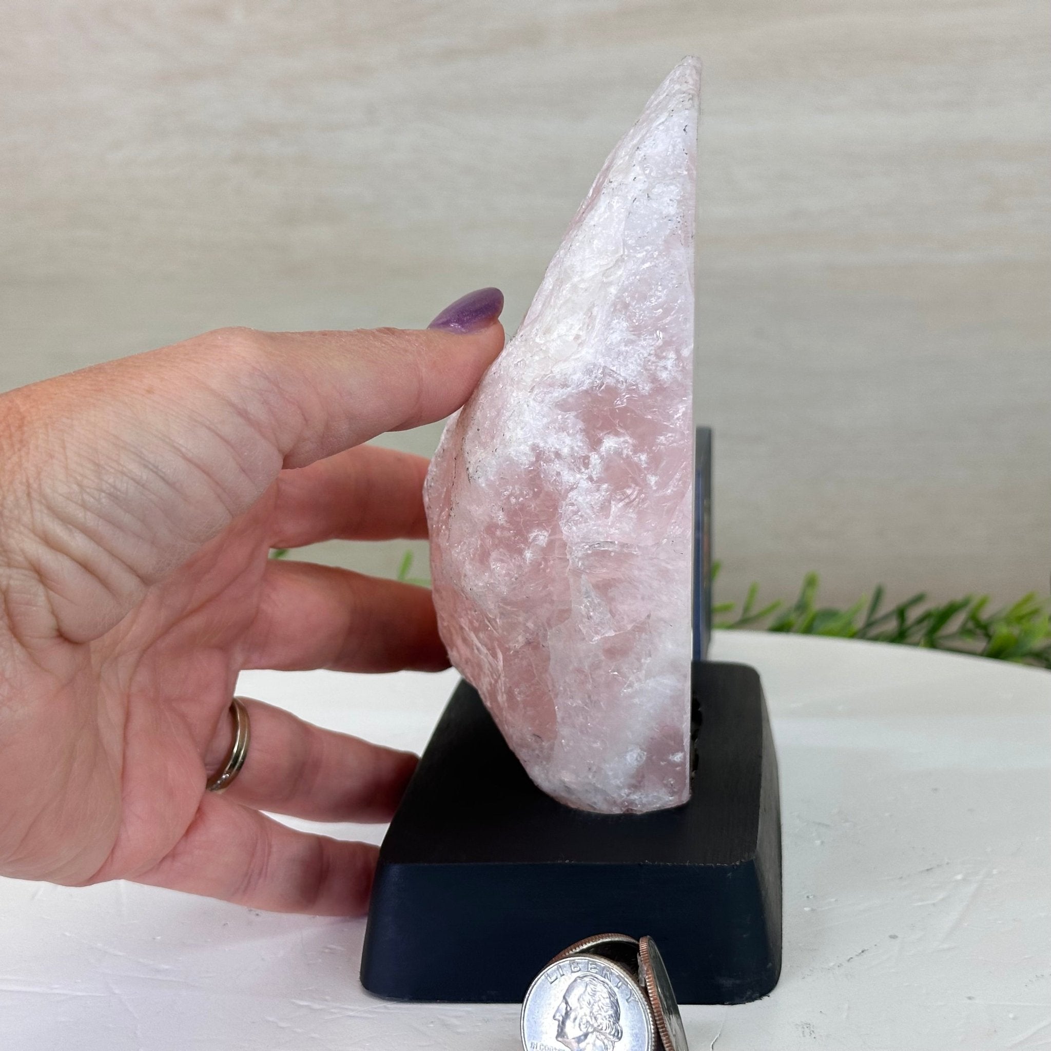 Rose Quartz Polished Slice on a Wood Base 6.5" Tall #6100RQ - 027 - Brazil GemsBrazil GemsRose Quartz Polished Slice on a Wood Base 6.5" Tall #6100RQ - 027Slices on Wood Bases6100RQ - 027