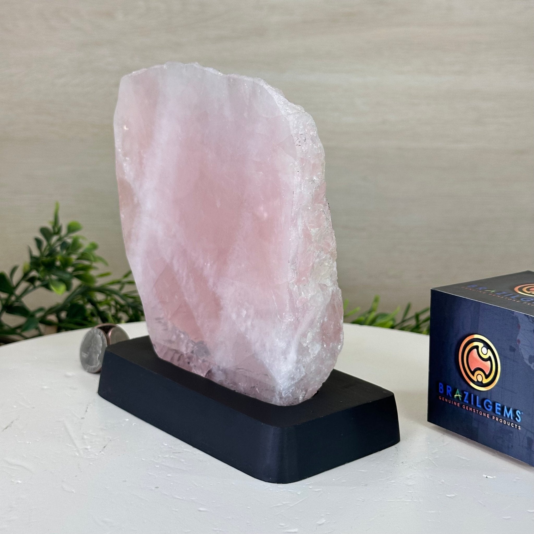 Rose Quartz Polished Slice on a Wood Base 6.5" Tall #6100RQ - 027 - Brazil GemsBrazil GemsRose Quartz Polished Slice on a Wood Base 6.5" Tall #6100RQ - 027Slices on Wood Bases6100RQ - 027