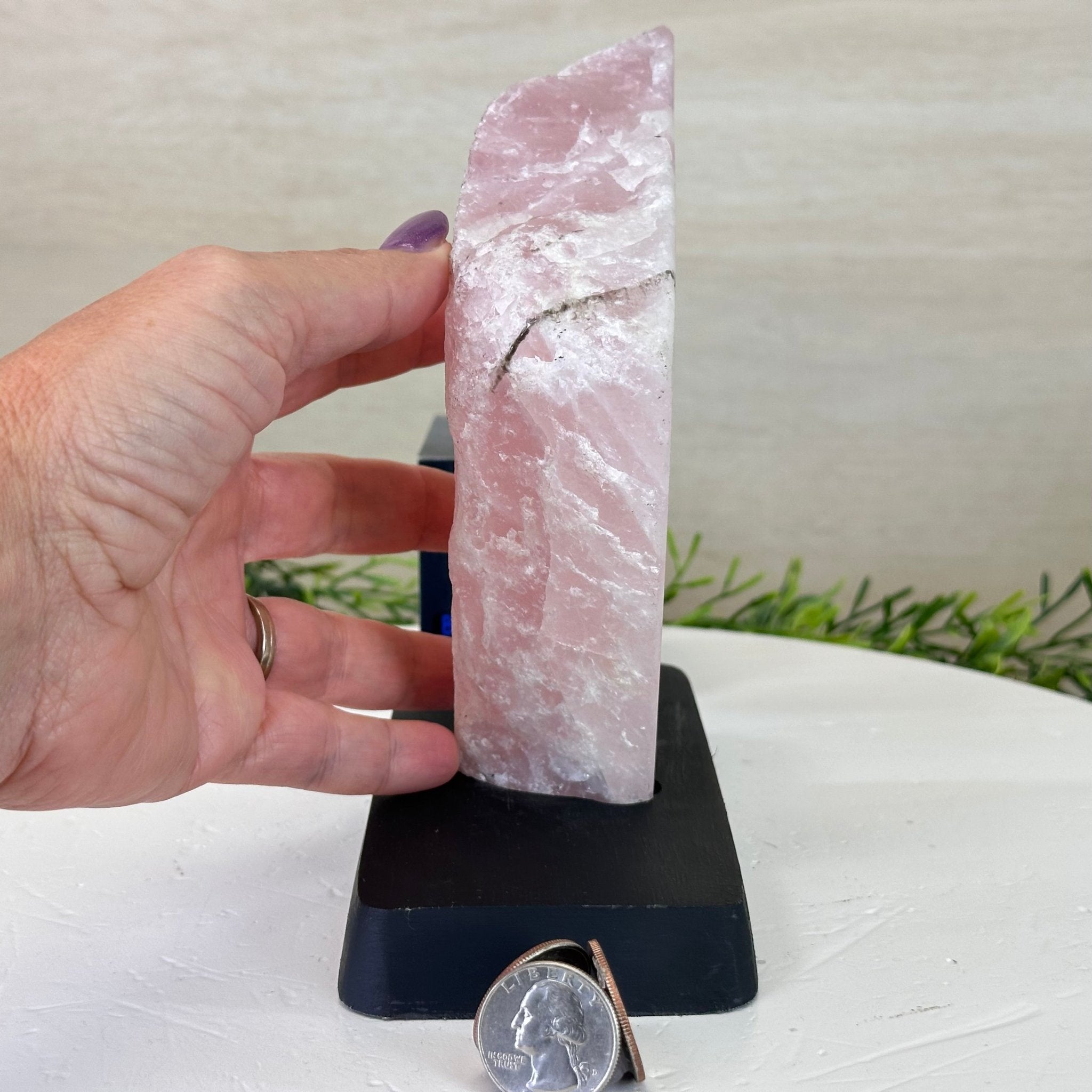 Rose Quartz Polished Slice on a Wood Base 7" Tall #6100RQ - 021 - Brazil GemsBrazil GemsRose Quartz Polished Slice on a Wood Base 7" Tall #6100RQ - 021Slices on Wood Bases6100RQ - 021