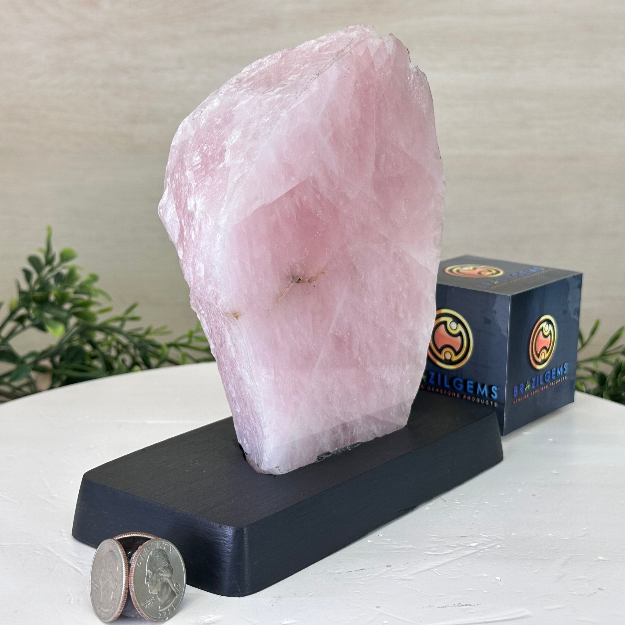 Rose Quartz Polished Slice on a Wood Base 7" Tall #6100RQ - 028 - Brazil GemsBrazil GemsRose Quartz Polished Slice on a Wood Base 7" Tall #6100RQ - 028Slices on Wood Bases6100RQ - 028