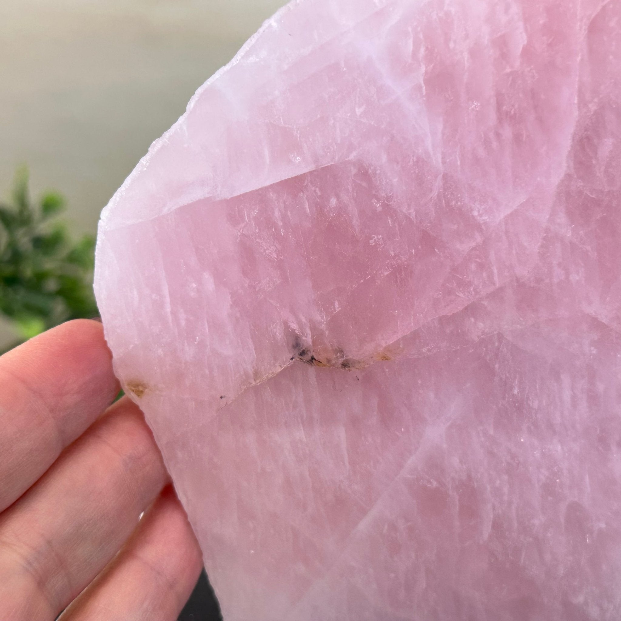 Rose Quartz Polished Slice on a Wood Base 7" Tall #6100RQ - 028 - Brazil GemsBrazil GemsRose Quartz Polished Slice on a Wood Base 7" Tall #6100RQ - 028Slices on Wood Bases6100RQ - 028