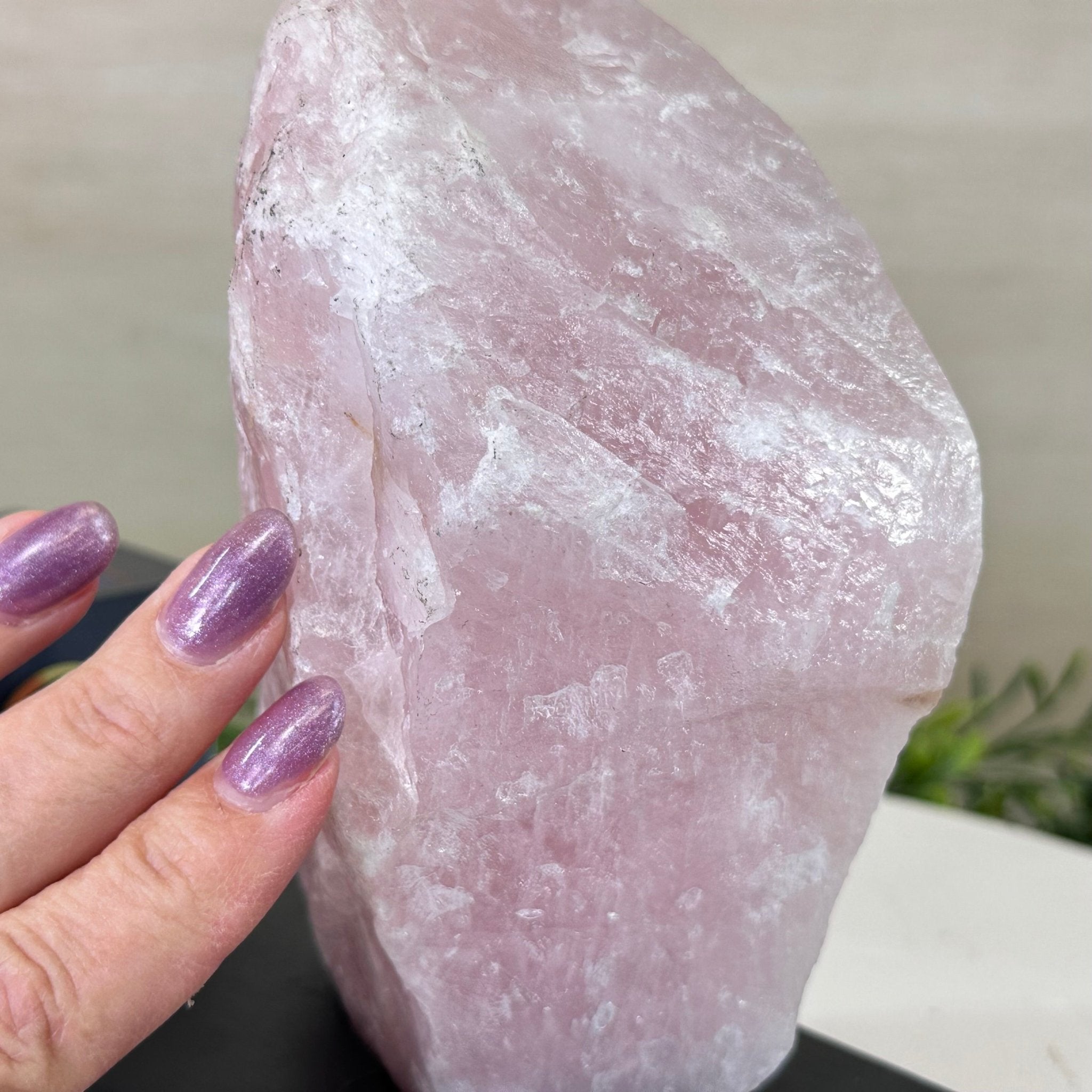 Rose Quartz Polished Slice on a Wood Base 7" Tall #6100RQ - 028 - Brazil GemsBrazil GemsRose Quartz Polished Slice on a Wood Base 7" Tall #6100RQ - 028Slices on Wood Bases6100RQ - 028