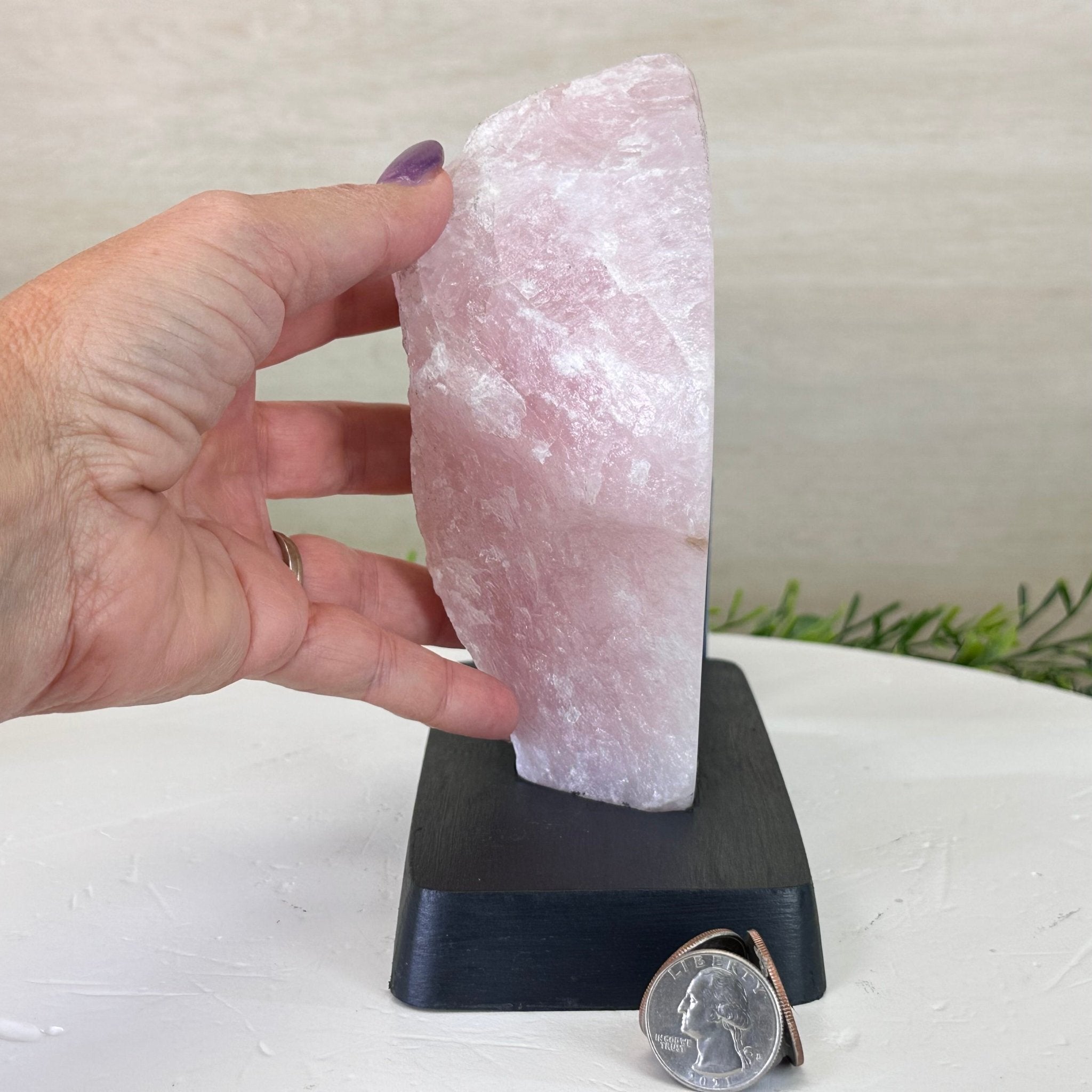 Rose Quartz Polished Slice on a Wood Base 7" Tall #6100RQ - 028 - Brazil GemsBrazil GemsRose Quartz Polished Slice on a Wood Base 7" Tall #6100RQ - 028Slices on Wood Bases6100RQ - 028