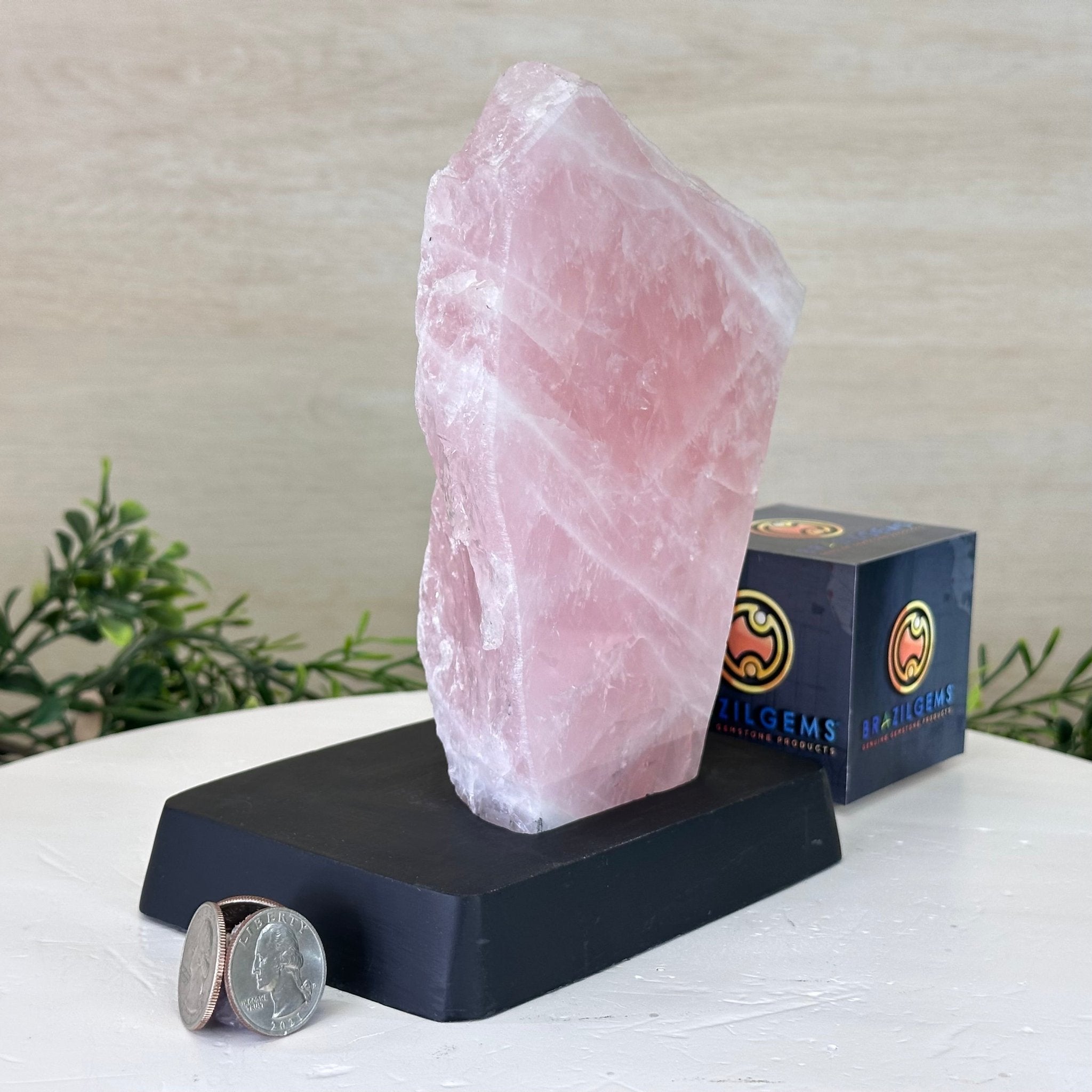 Rose Quartz Polished Slice on a Wood Base 7.5" Tall #6100RQ - 030 - Brazil GemsBrazil GemsRose Quartz Polished Slice on a Wood Base 7.5" Tall #6100RQ - 030Slices on Wood Bases6100RQ - 030