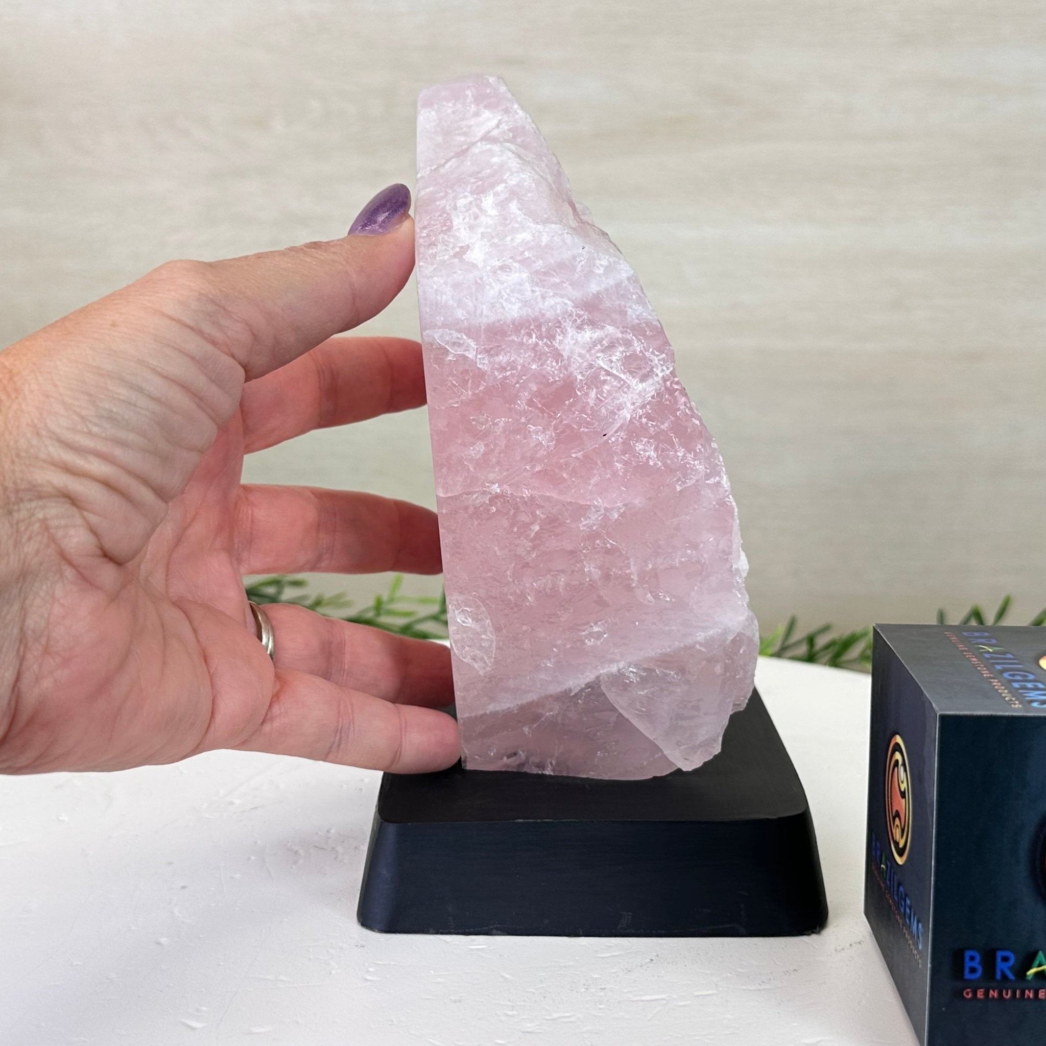 Rose Quartz Polished Slice on a Wood Base 7.5" Tall #6100RQ - 030 - Brazil GemsBrazil GemsRose Quartz Polished Slice on a Wood Base 7.5" Tall #6100RQ - 030Slices on Wood Bases6100RQ - 030