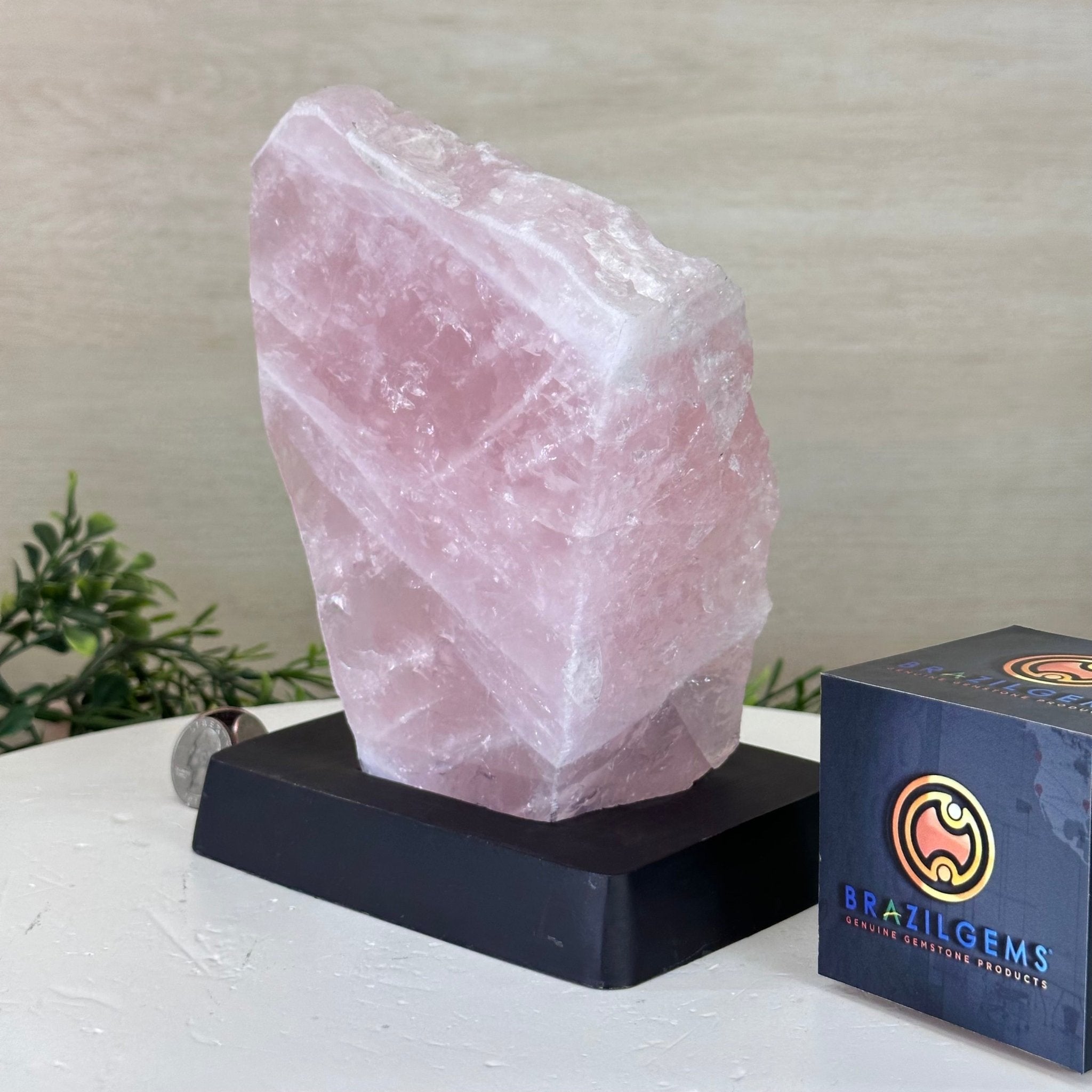 Rose Quartz Polished Slice on a Wood Base 7.5" Tall #6100RQ - 030 - Brazil GemsBrazil GemsRose Quartz Polished Slice on a Wood Base 7.5" Tall #6100RQ - 030Slices on Wood Bases6100RQ - 030