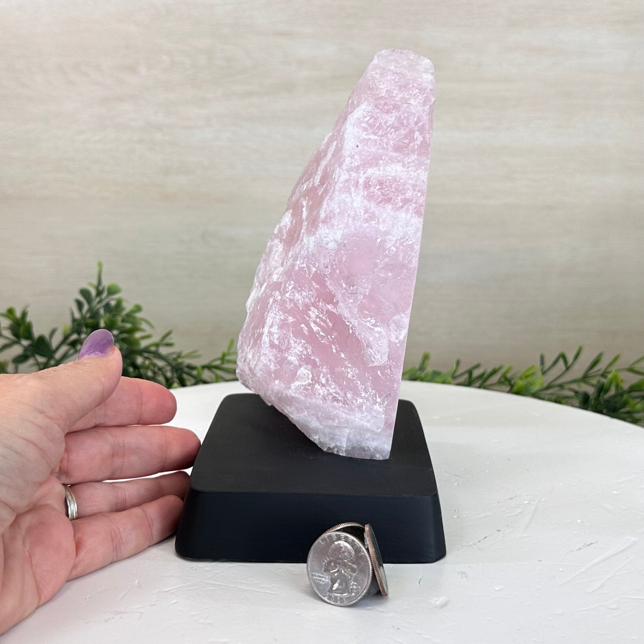 Rose Quartz Polished Slice on a Wood Base 7.5" Tall #6100RQ - 030 - Brazil GemsBrazil GemsRose Quartz Polished Slice on a Wood Base 7.5" Tall #6100RQ - 030Slices on Wood Bases6100RQ - 030