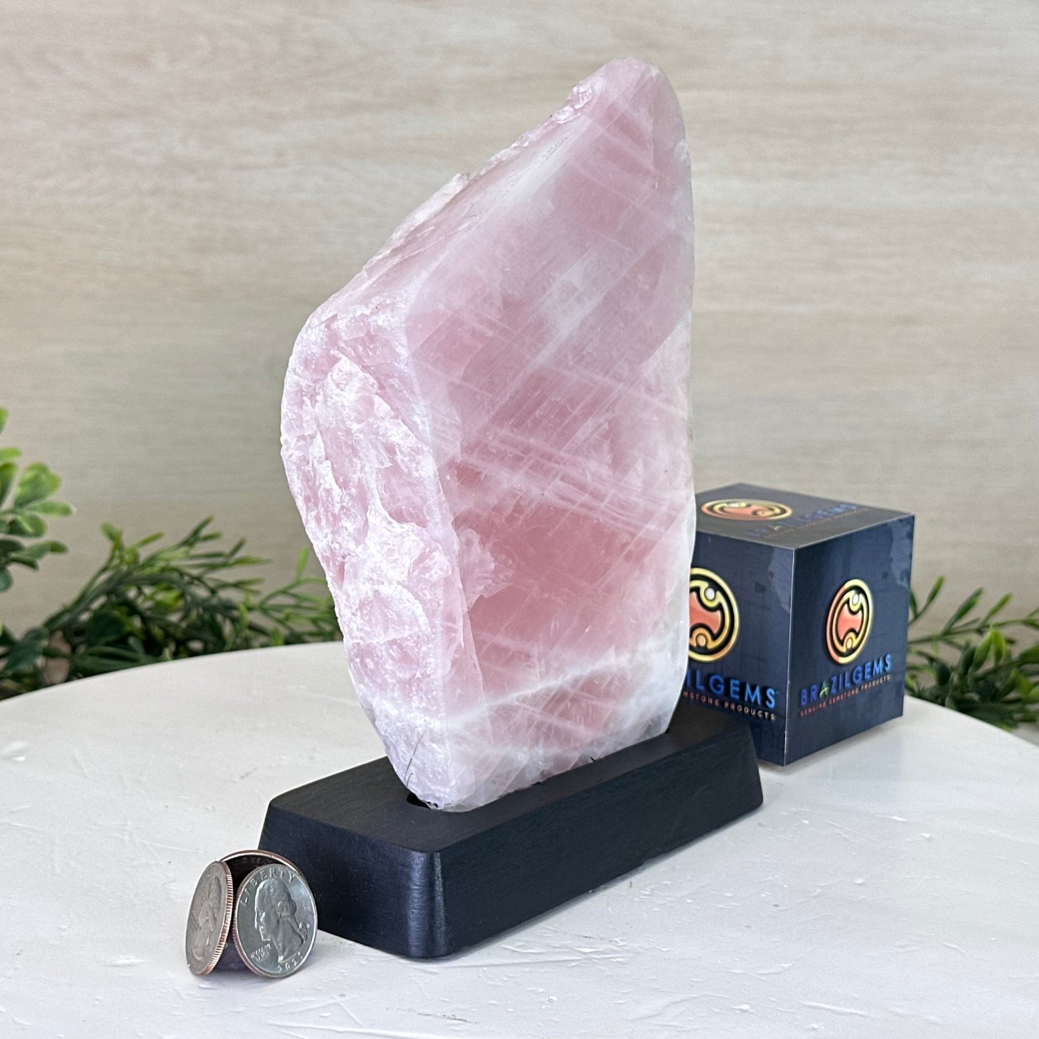 Rose Quartz Polished Slice on a Wood Base, 8" Tall #6100RQ - 016 - Brazil GemsBrazil GemsRose Quartz Polished Slice on a Wood Base, 8" Tall #6100RQ - 016Slices on Wood Bases6100RQ - 016