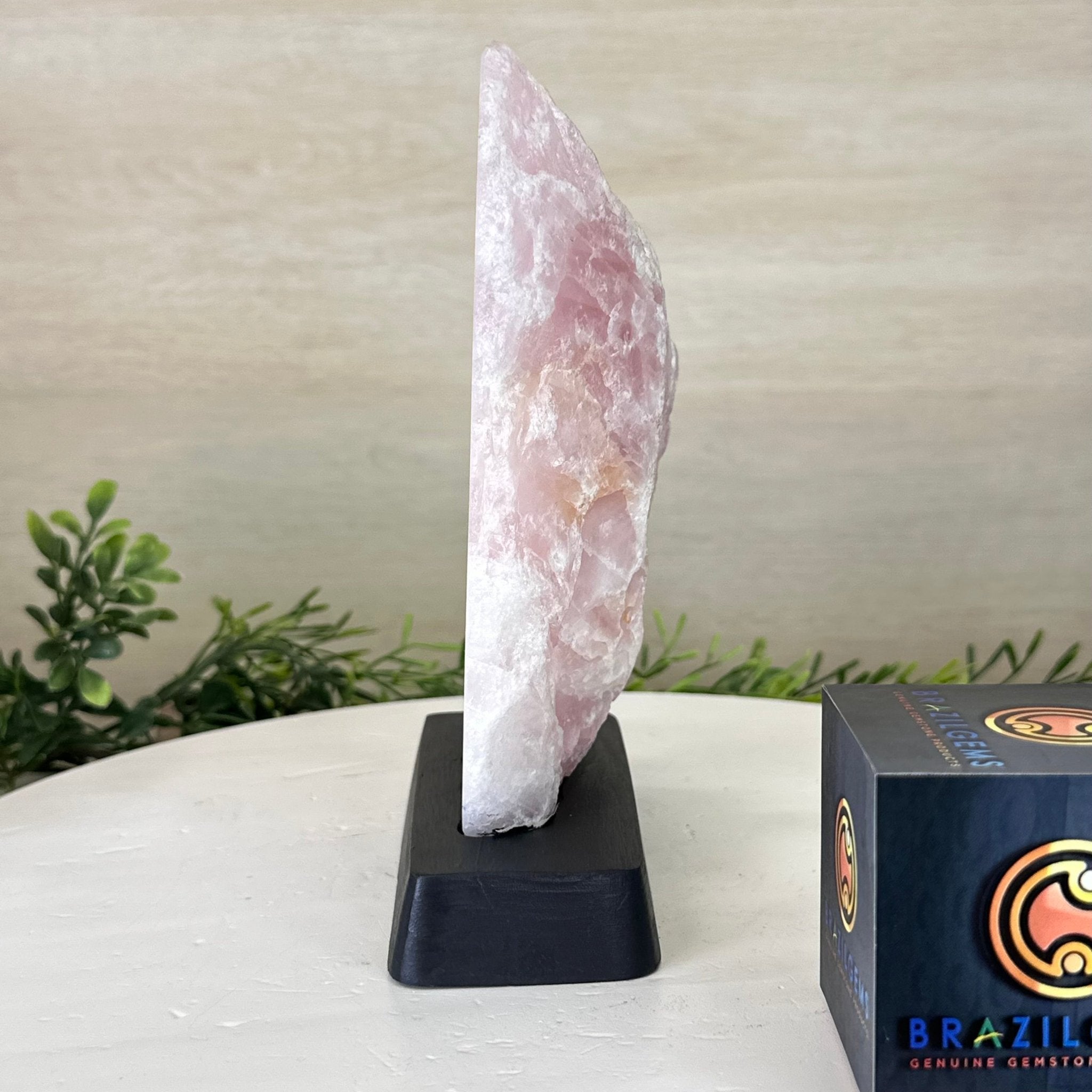 Rose Quartz Polished Slice on a Wood Base, 8" Tall #6100RQ - 016 - Brazil GemsBrazil GemsRose Quartz Polished Slice on a Wood Base, 8" Tall #6100RQ - 016Slices on Wood Bases6100RQ - 016