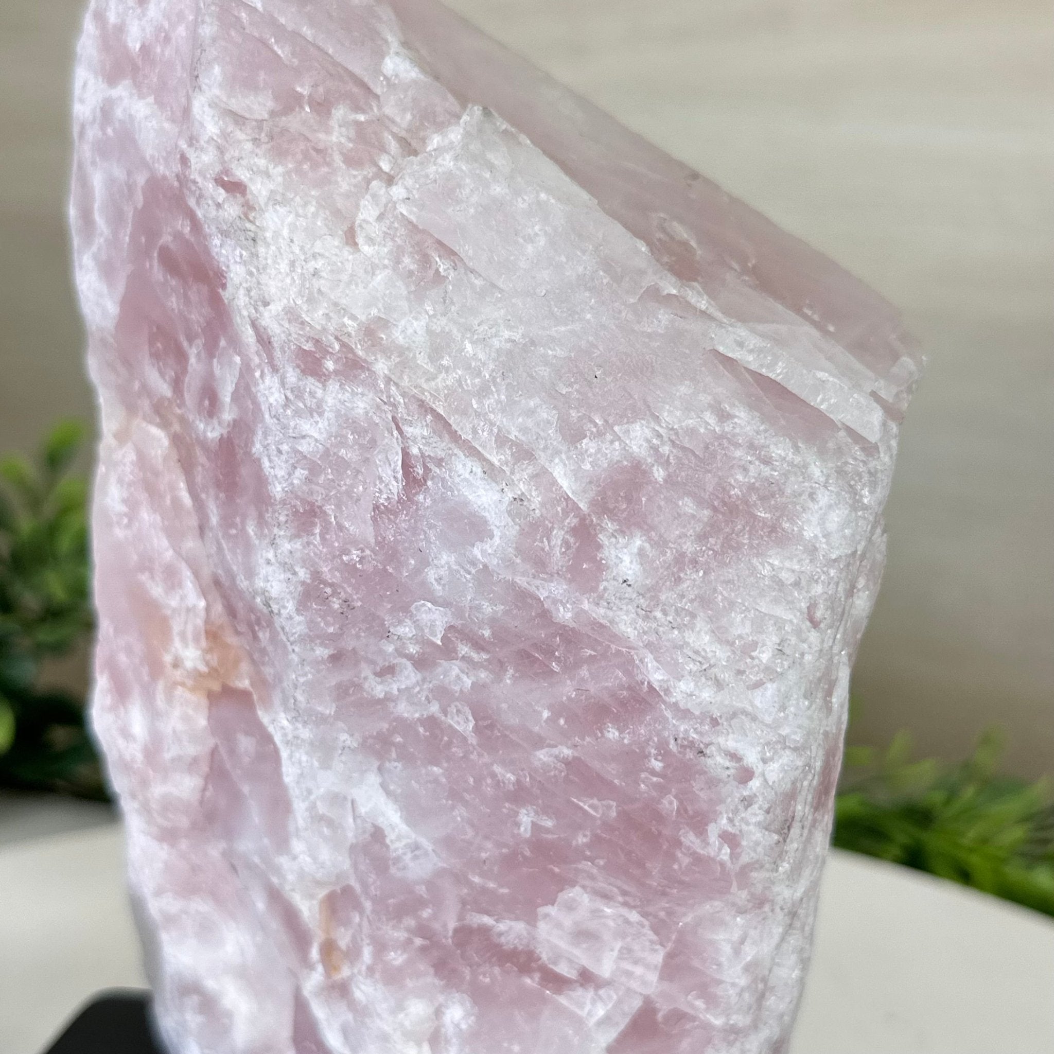 Rose Quartz Polished Slice on a Wood Base, 8" Tall #6100RQ - 016 - Brazil GemsBrazil GemsRose Quartz Polished Slice on a Wood Base, 8" Tall #6100RQ - 016Slices on Wood Bases6100RQ - 016