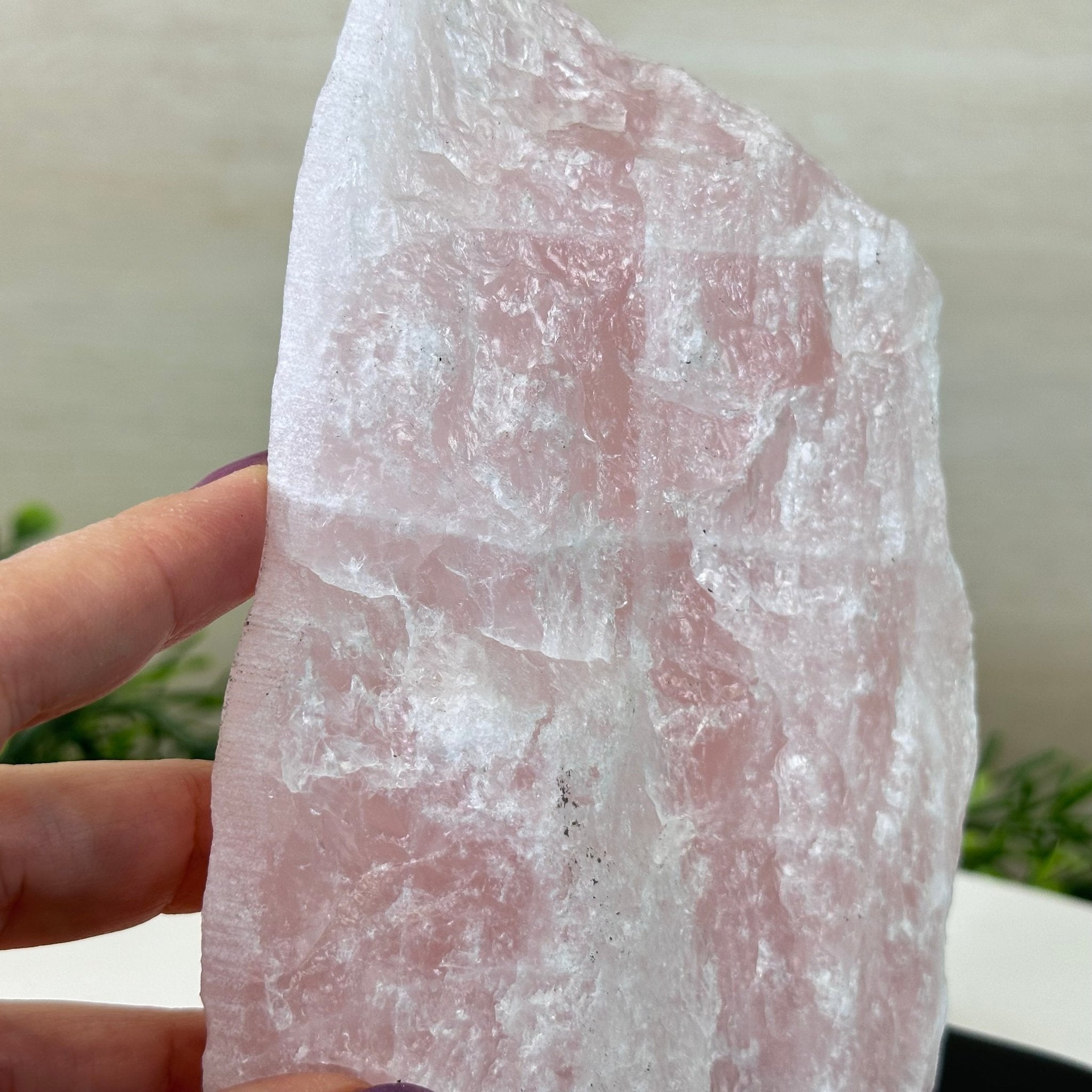 Rose Quartz Polished Slice on a Wood Base 8" Tall #6100RQ - 029 - Brazil GemsBrazil GemsRose Quartz Polished Slice on a Wood Base 8" Tall #6100RQ - 029Slices on Wood Bases6100RQ - 029