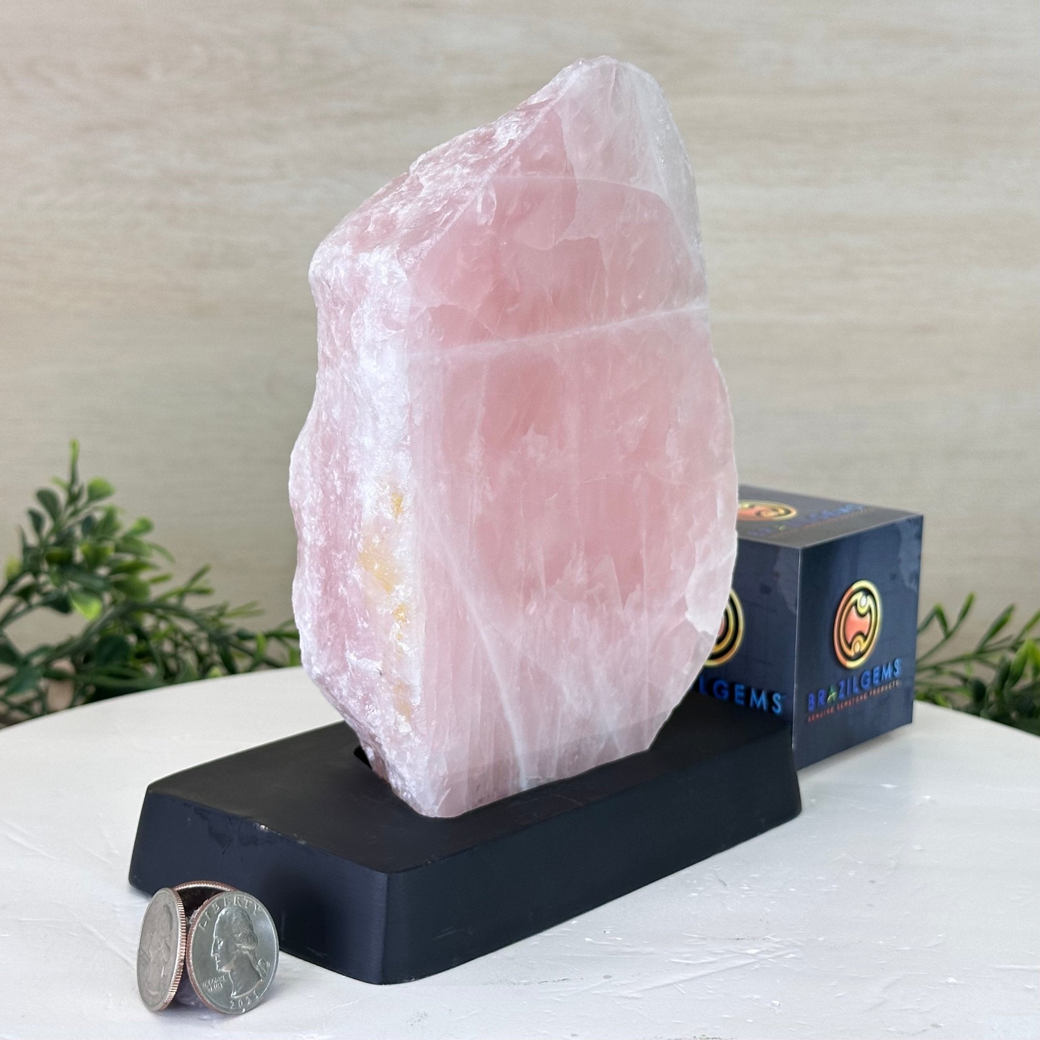 Rose Quartz Polished Slice on a Wood Base 8" Tall #6100RQ - 029 - Brazil GemsBrazil GemsRose Quartz Polished Slice on a Wood Base 8" Tall #6100RQ - 029Slices on Wood Bases6100RQ - 029