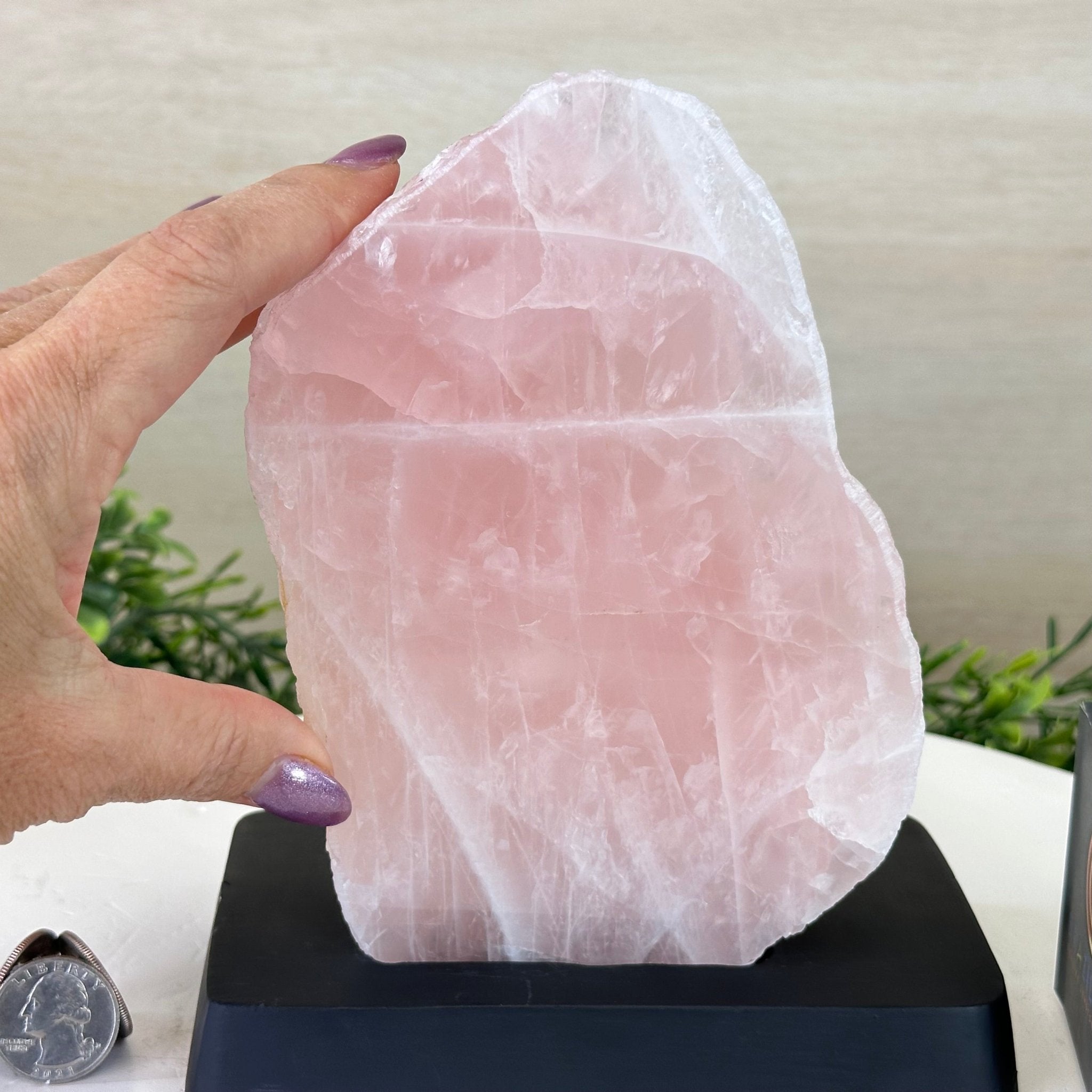 Rose Quartz Polished Slice on a Wood Base 8" Tall #6100RQ - 029 - Brazil GemsBrazil GemsRose Quartz Polished Slice on a Wood Base 8" Tall #6100RQ - 029Slices on Wood Bases6100RQ - 029