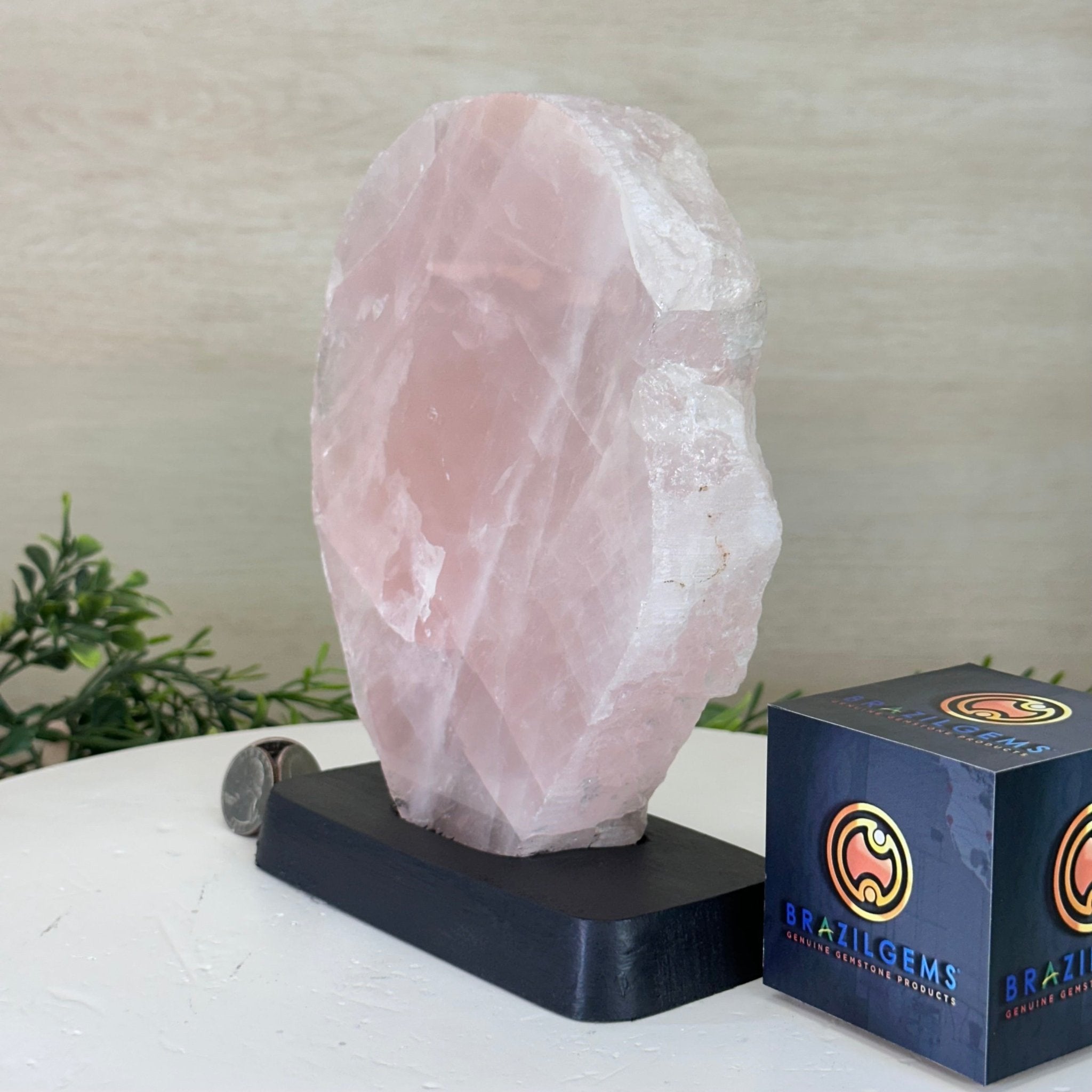 Rose Quartz Polished Slice on a Wood Base, 8" Tall #6100RQ - 031 - Brazil GemsBrazil GemsRose Quartz Polished Slice on a Wood Base, 8" Tall #6100RQ - 031Slices on Wood Bases6100RQ - 031