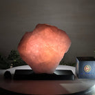 Rose Quartz Polished Slice on a Wood Base, 8" Tall #6100RQ - 036 - Brazil GemsBrazil GemsRose Quartz Polished Slice on a Wood Base, 8" Tall #6100RQ - 036Slices on Wood Bases6100RQ - 036