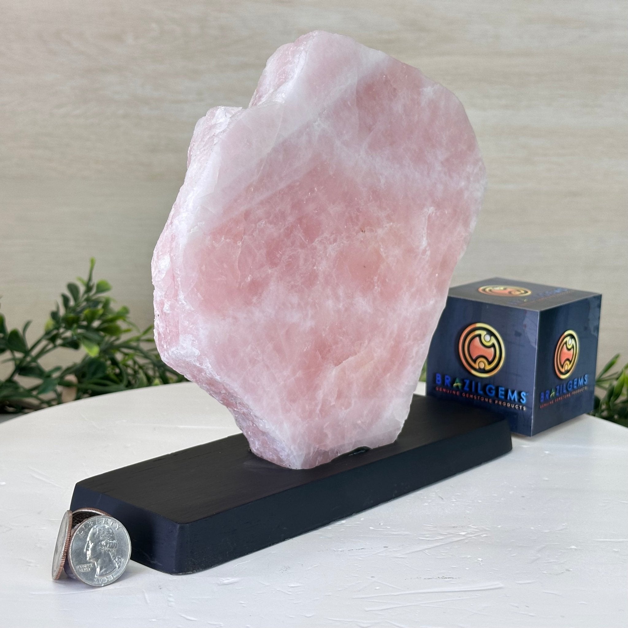 Rose Quartz Polished Slice on a Wood Base, 8" Tall #6100RQ - 036 - Brazil GemsBrazil GemsRose Quartz Polished Slice on a Wood Base, 8" Tall #6100RQ - 036Slices on Wood Bases6100RQ - 036