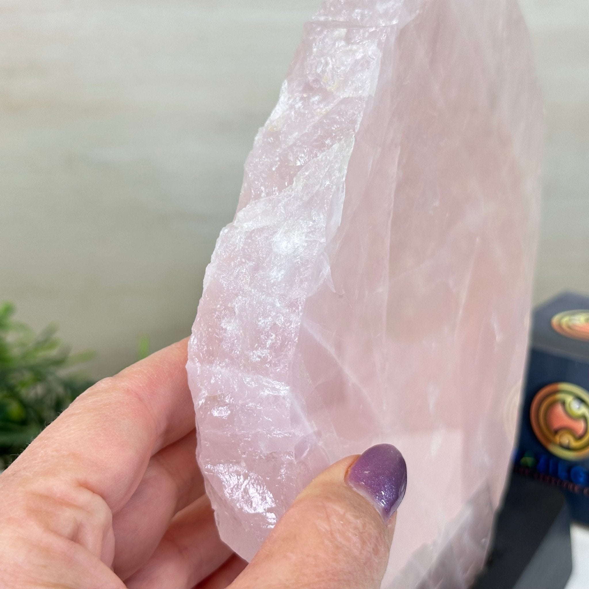 Rose Quartz Polished Slice on a Wood Base 8.25" Tall #6100RQ - 026 - Brazil GemsBrazil GemsRose Quartz Polished Slice on a Wood Base 8.25" Tall #6100RQ - 026Slices on Wood Bases6100RQ - 026