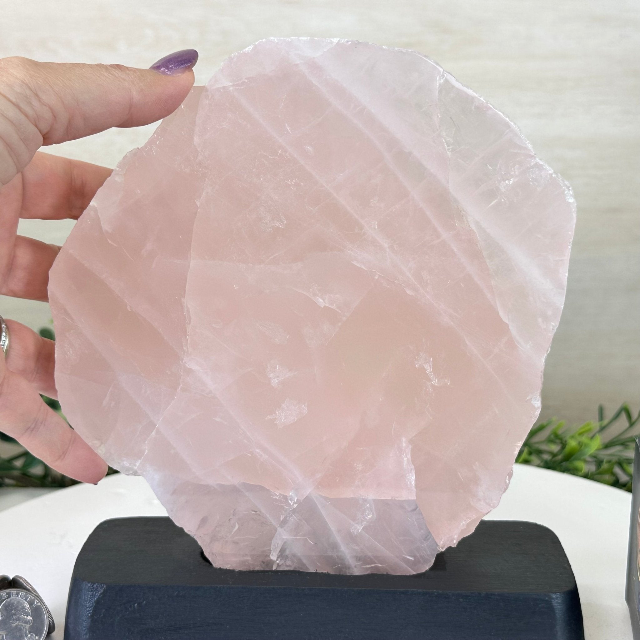 Rose Quartz Polished Slice on a Wood Base 8.25" Tall #6100RQ - 026 - Brazil GemsBrazil GemsRose Quartz Polished Slice on a Wood Base 8.25" Tall #6100RQ - 026Slices on Wood Bases6100RQ - 026