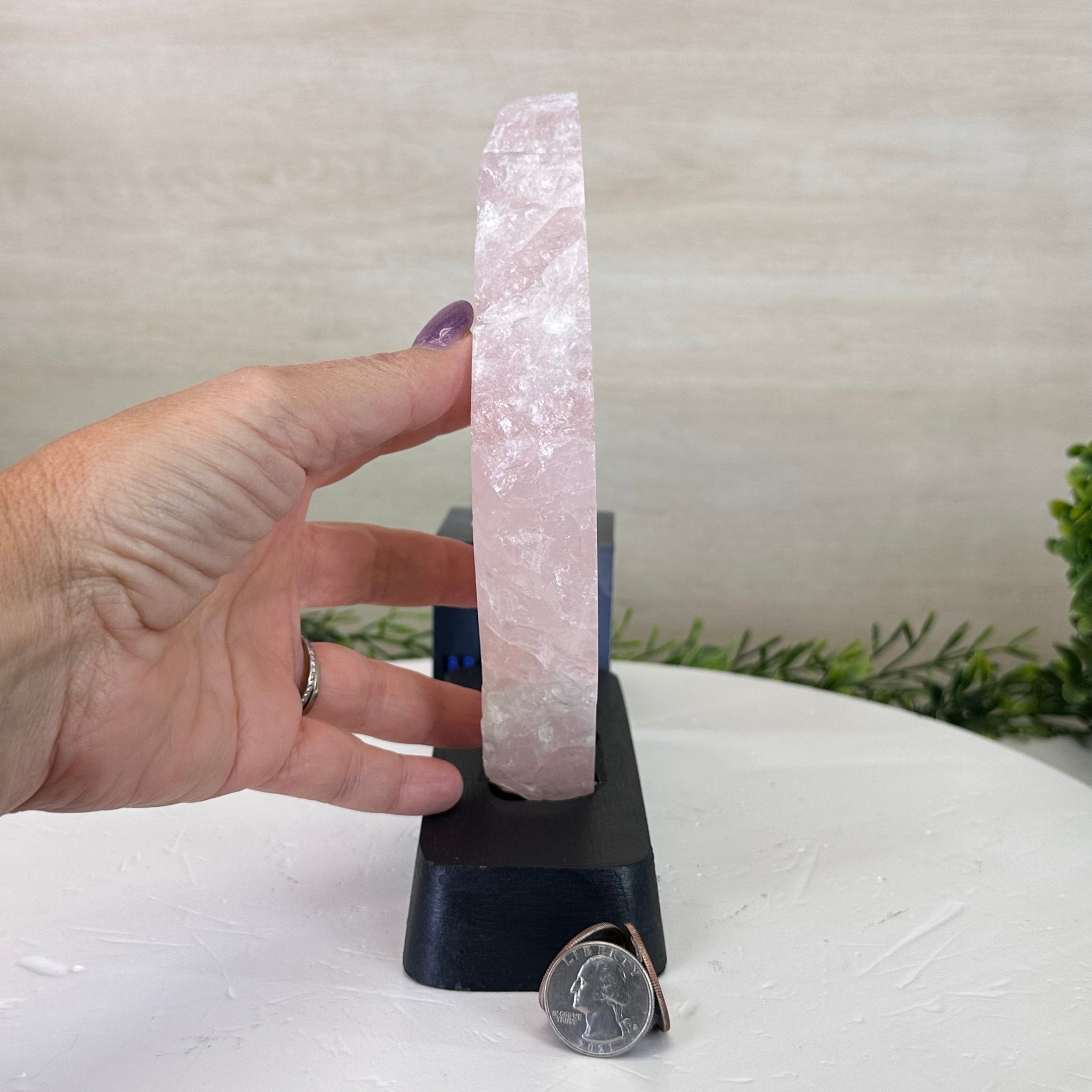 Rose Quartz Polished Slice on a Wood Base 8.25" Tall #6100RQ - 026 - Brazil GemsBrazil GemsRose Quartz Polished Slice on a Wood Base 8.25" Tall #6100RQ - 026Slices on Wood Bases6100RQ - 026