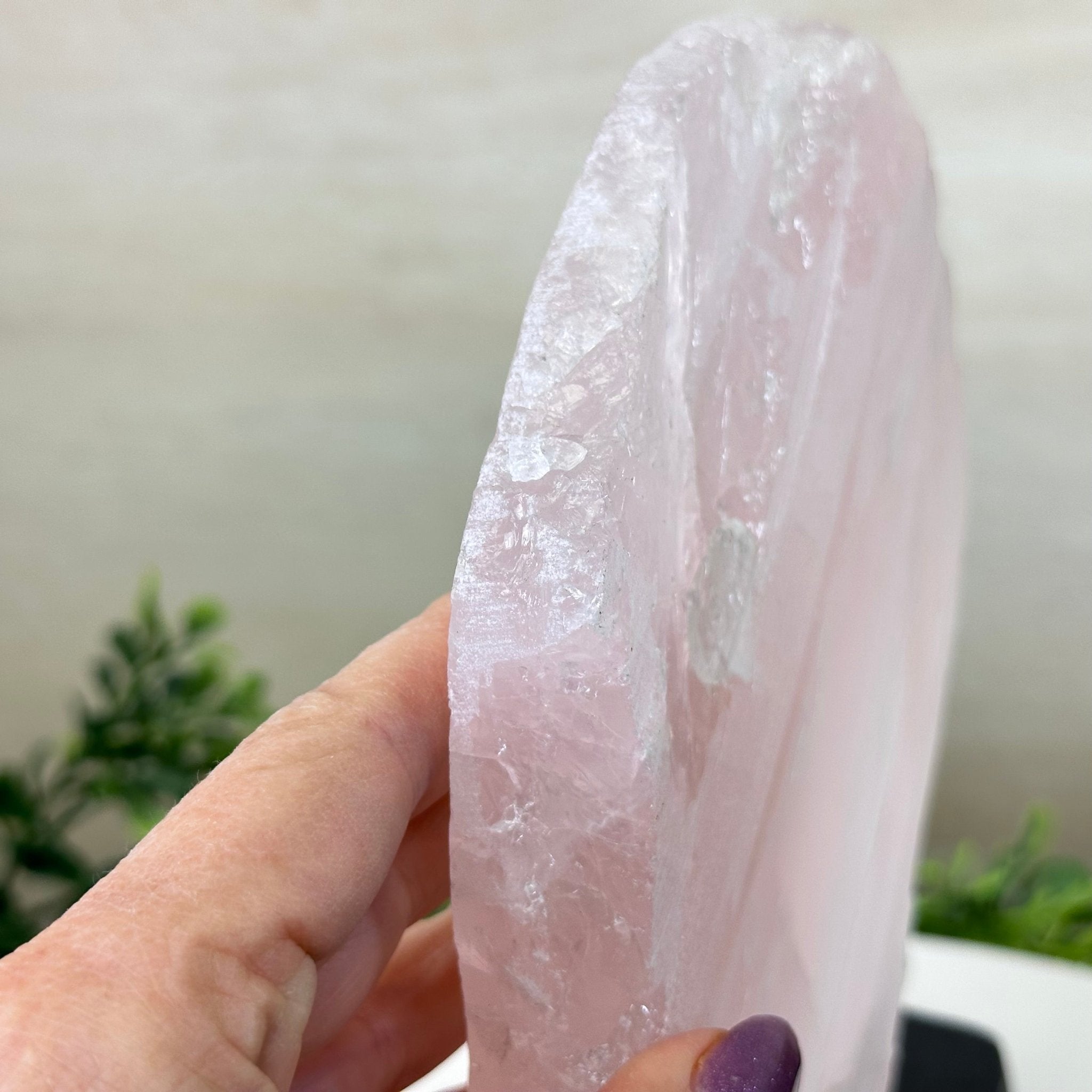 Rose Quartz Polished Slice on a Wood Base 8.25" Tall #6100RQ - 026 - Brazil GemsBrazil GemsRose Quartz Polished Slice on a Wood Base 8.25" Tall #6100RQ - 026Slices on Wood Bases6100RQ - 026