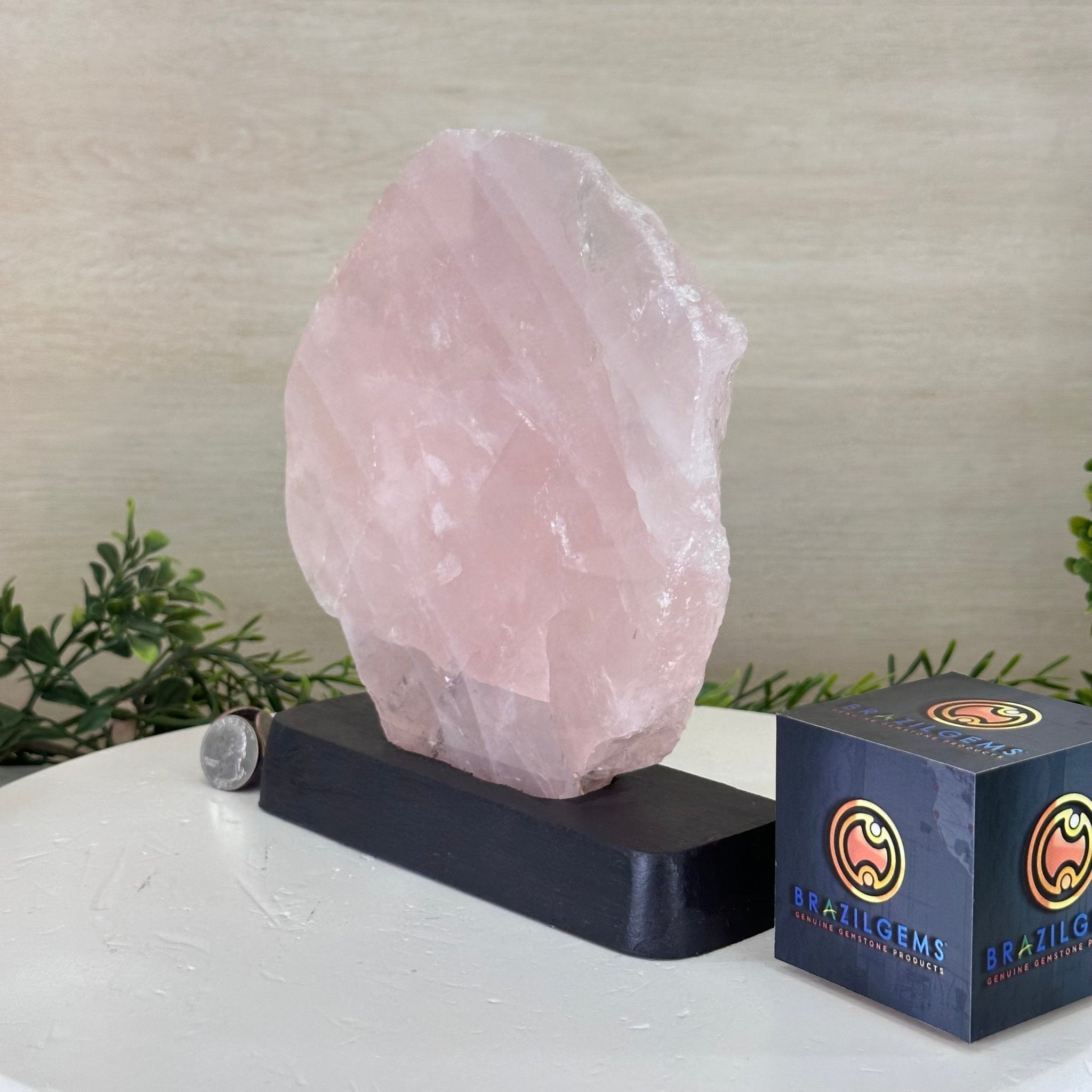 Rose Quartz Polished Slice on a Wood Base 8.25" Tall #6100RQ - 026 - Brazil GemsBrazil GemsRose Quartz Polished Slice on a Wood Base 8.25" Tall #6100RQ - 026Slices on Wood Bases6100RQ - 026