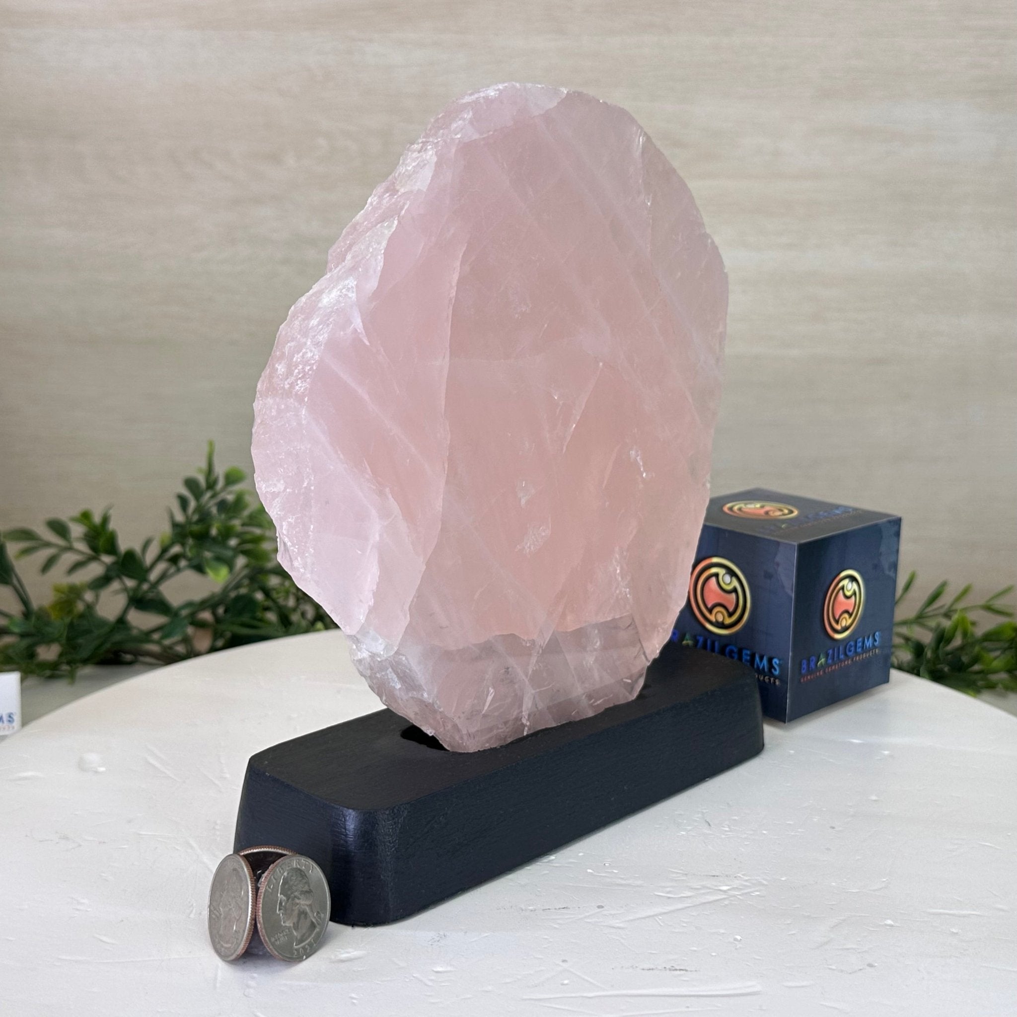 Rose Quartz Polished Slice on a Wood Base 8.25" Tall #6100RQ - 026 - Brazil GemsBrazil GemsRose Quartz Polished Slice on a Wood Base 8.25" Tall #6100RQ - 026Slices on Wood Bases6100RQ - 026