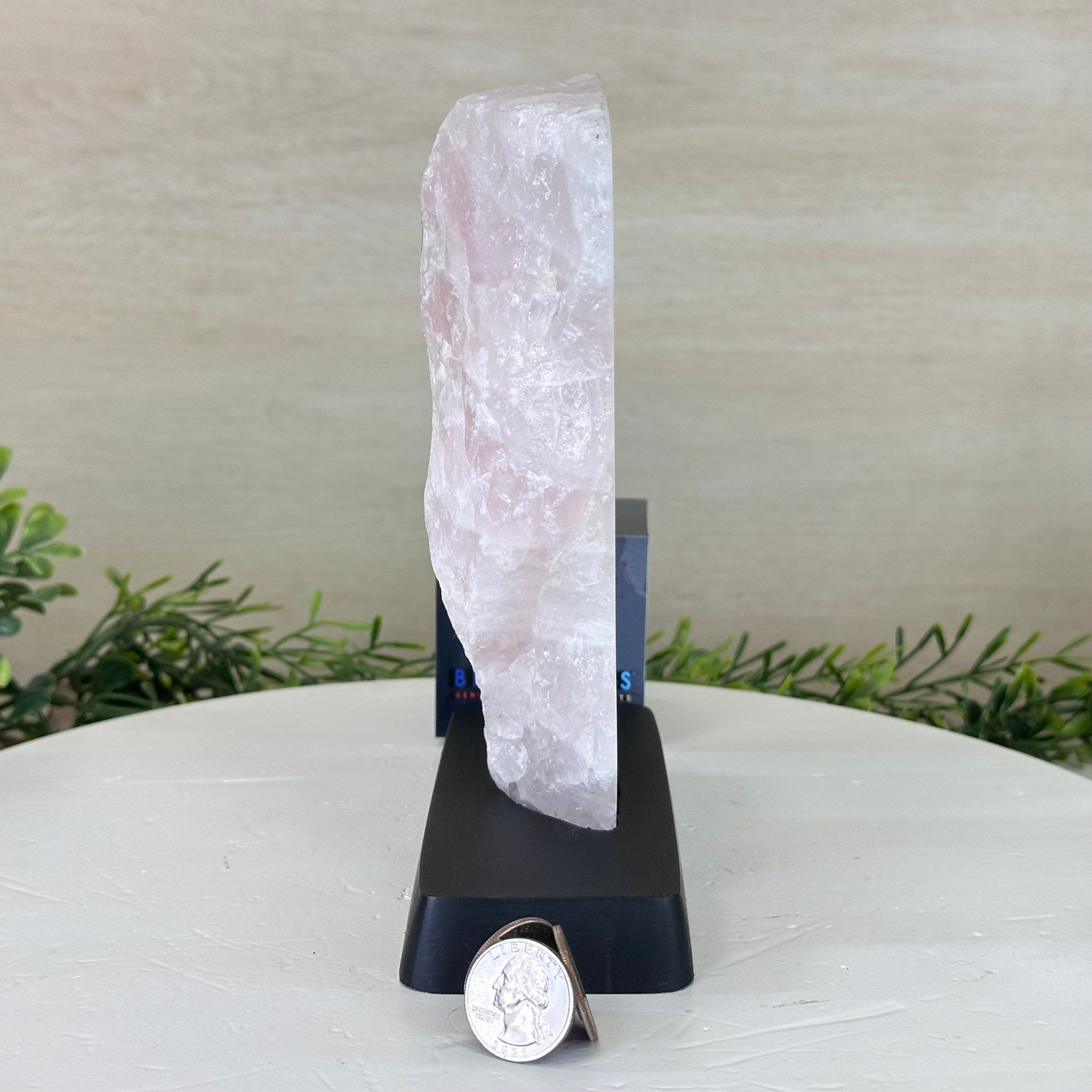 Rose Quartz Polished Slice on a Wood Base, 8.5" Tall #6100RQ - 014 - Brazil GemsBrazil GemsRose Quartz Polished Slice on a Wood Base, 8.5" Tall #6100RQ - 014Slices on Wood Bases6100RQ - 014