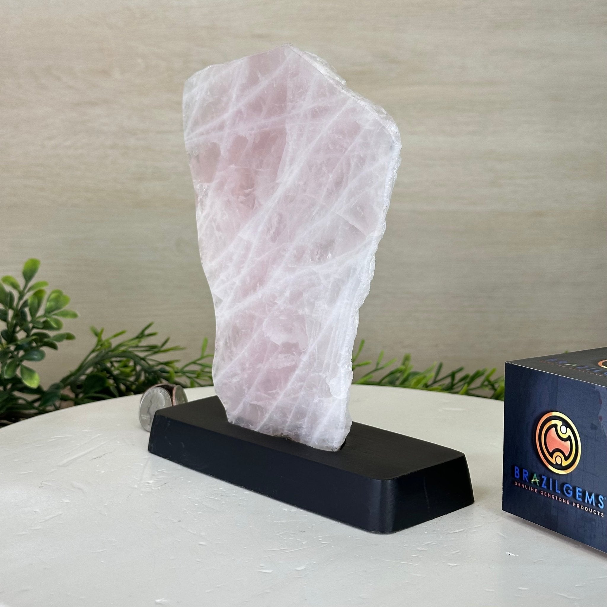 Rose Quartz Polished Slice on a Wood Base, 8.5" Tall #6100RQ - 014 - Brazil GemsBrazil GemsRose Quartz Polished Slice on a Wood Base, 8.5" Tall #6100RQ - 014Slices on Wood Bases6100RQ - 014