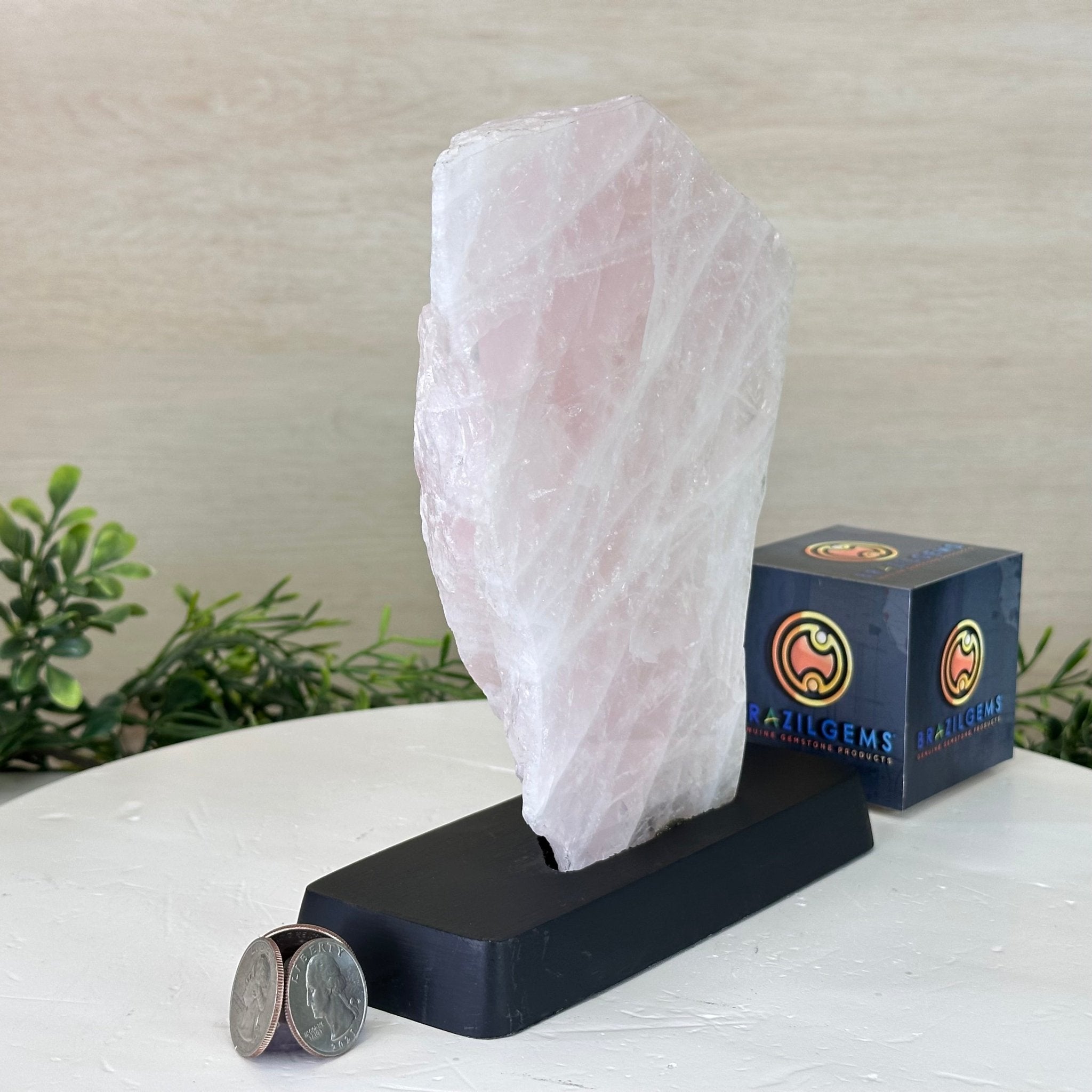 Rose Quartz Polished Slice on a Wood Base, 8.5" Tall #6100RQ - 014 - Brazil GemsBrazil GemsRose Quartz Polished Slice on a Wood Base, 8.5" Tall #6100RQ - 014Slices on Wood Bases6100RQ - 014