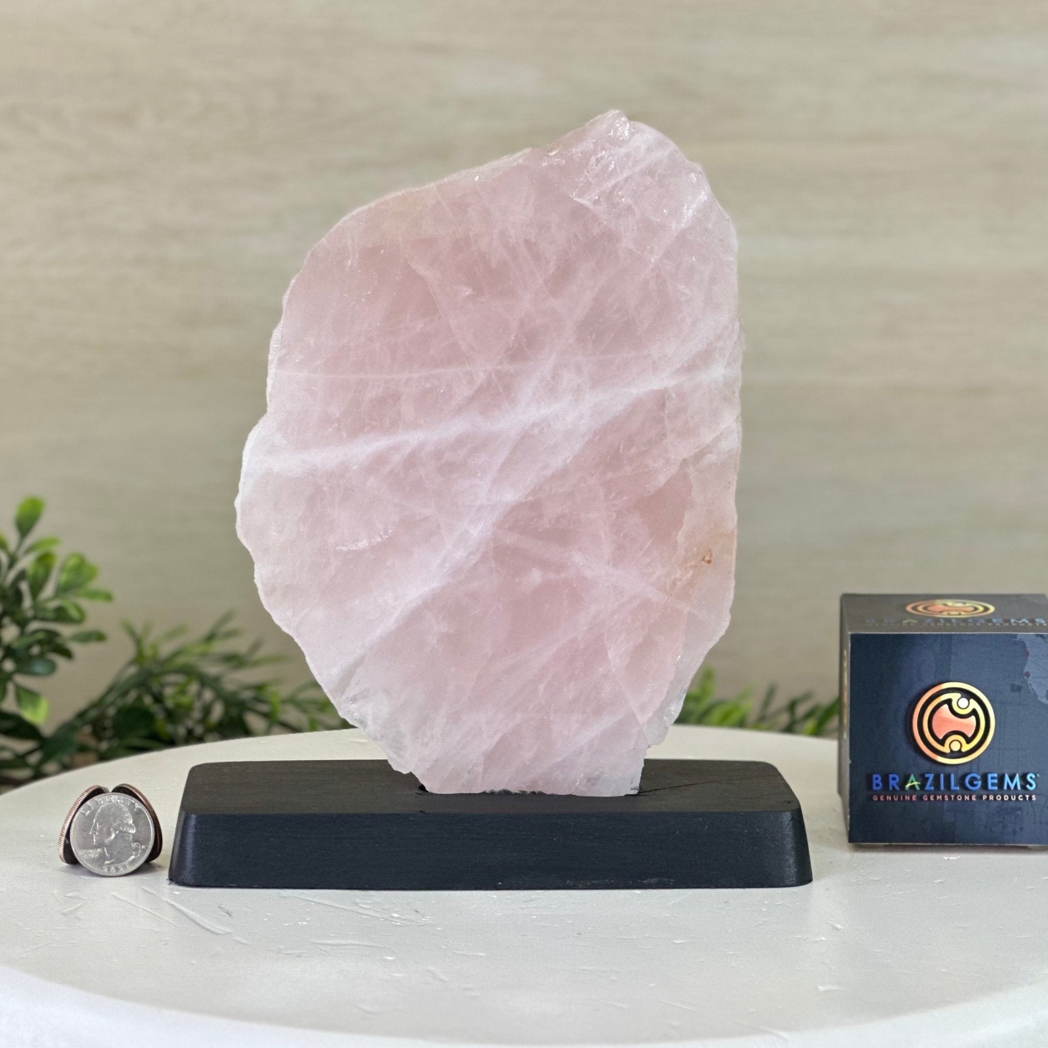 Rose Quartz Polished Slice on a Wood Base 8.5" Tall #6100RQ - 020 - Brazil GemsBrazil GemsRose Quartz Polished Slice on a Wood Base 8.5" Tall #6100RQ - 020Slices on Wood Bases6100RQ - 020