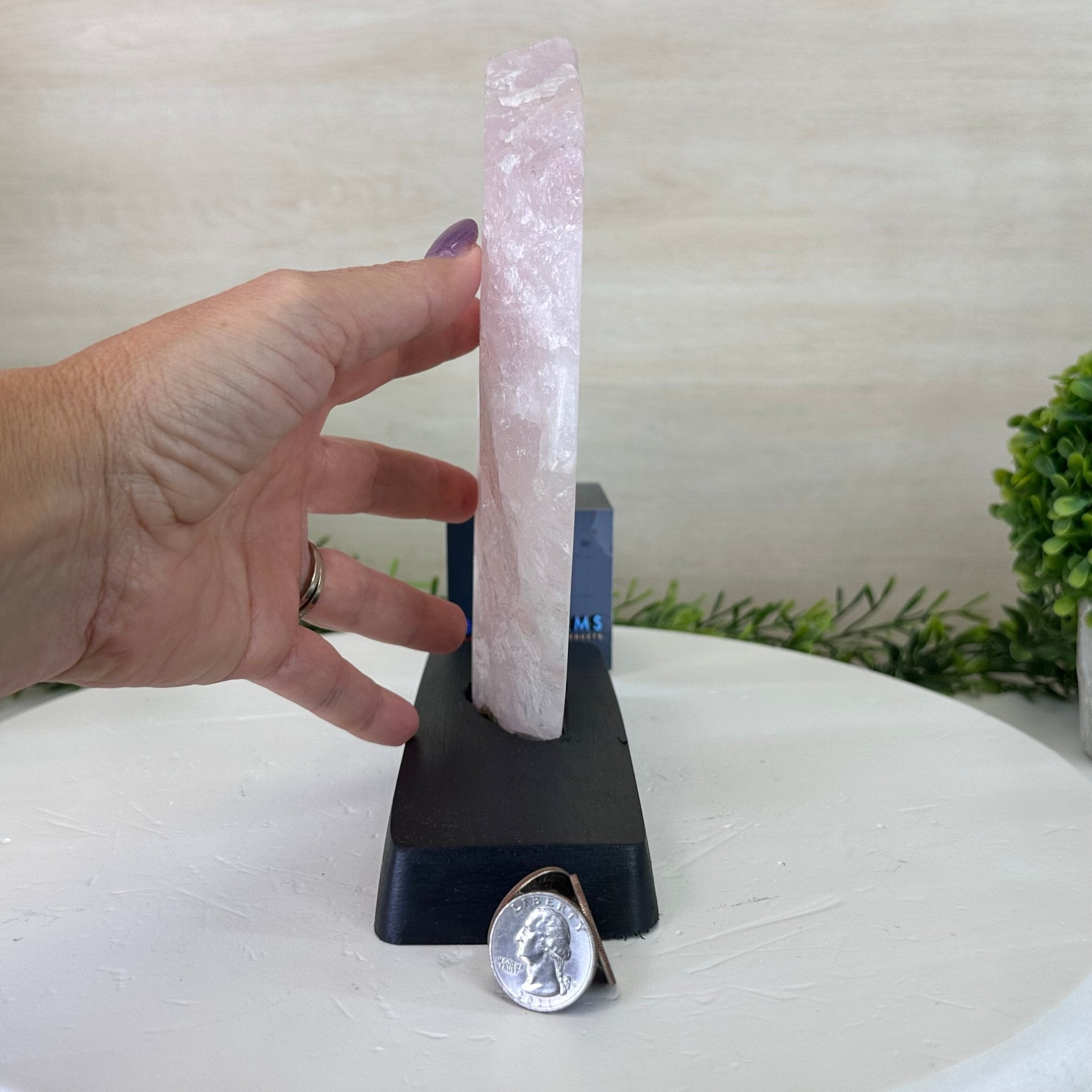 Rose Quartz Polished Slice on a Wood Base 8.5" Tall #6100RQ - 020 - Brazil GemsBrazil GemsRose Quartz Polished Slice on a Wood Base 8.5" Tall #6100RQ - 020Slices on Wood Bases6100RQ - 020